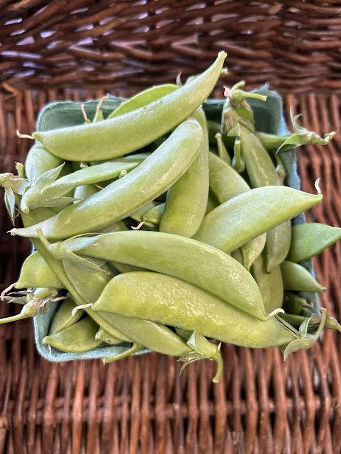sugar snap peas.jpg
