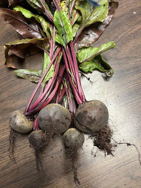 beets.jpg