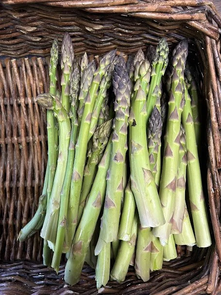 asparagus.jpg