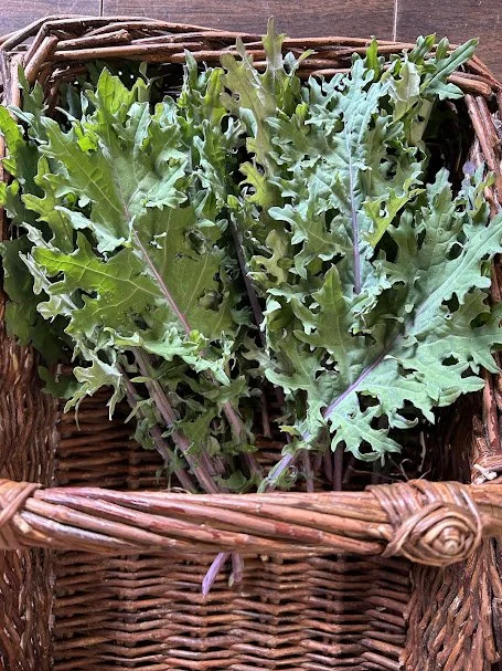 kale.jpg