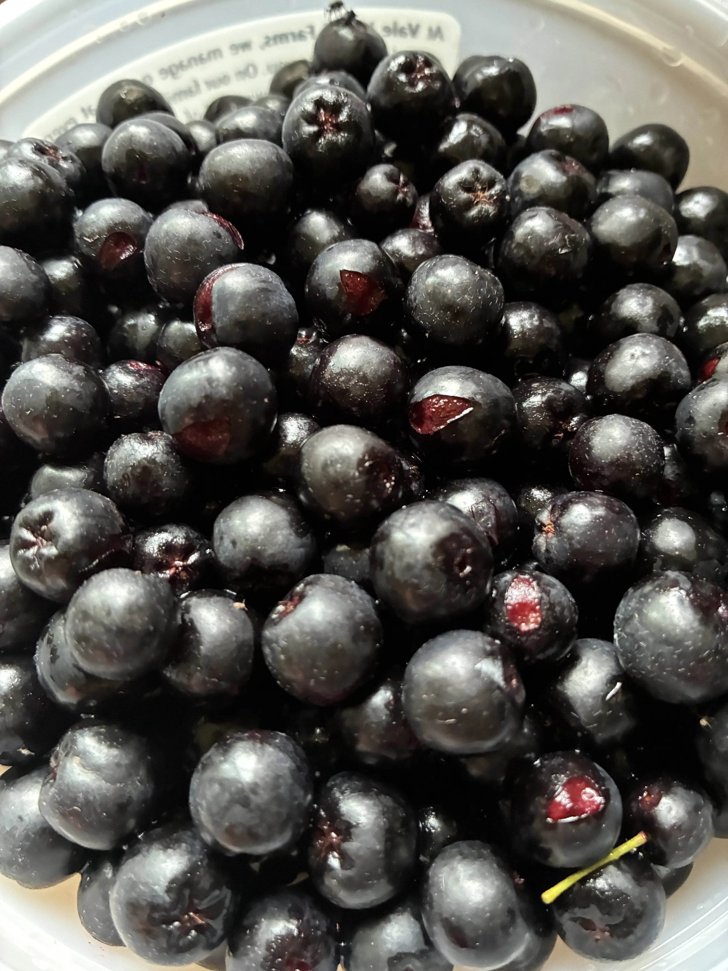 aronia berry.jpeg