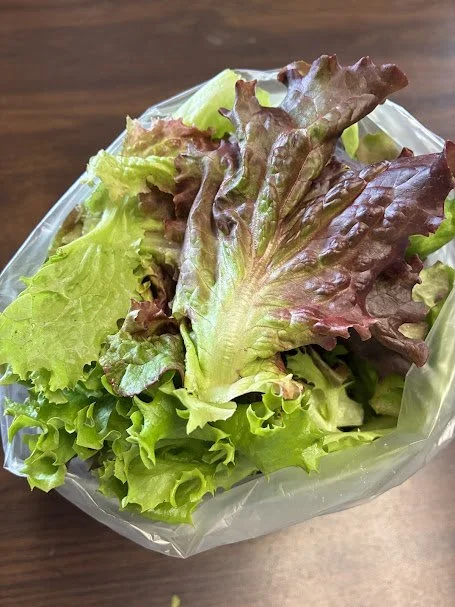 salad greens.jpeg