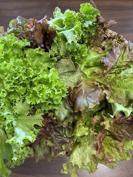 salad greens2.jpeg
