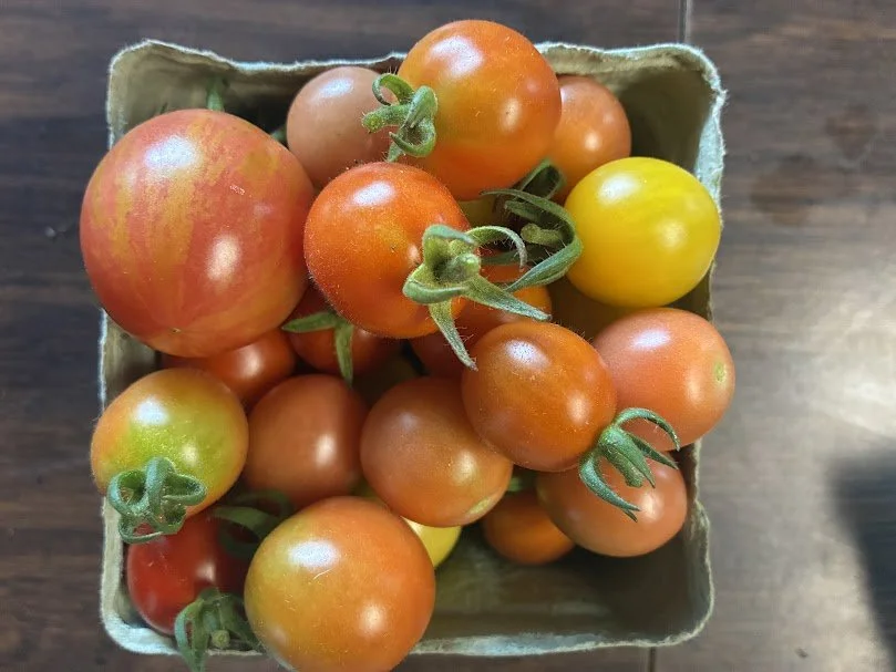 cherry tomatoes.jpeg