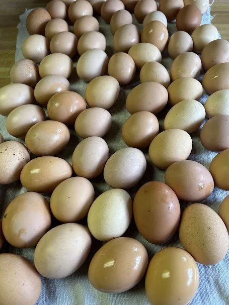 eggs.jpg