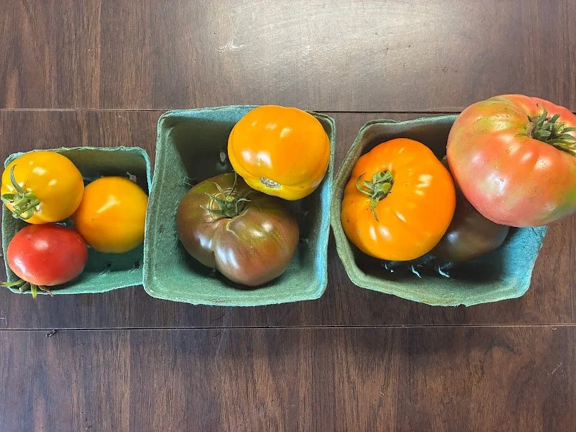 large heirloom variants.jpeg