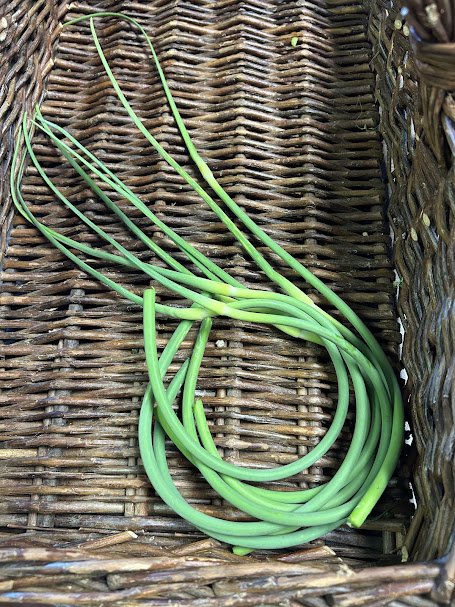 garlic scapes.jpg