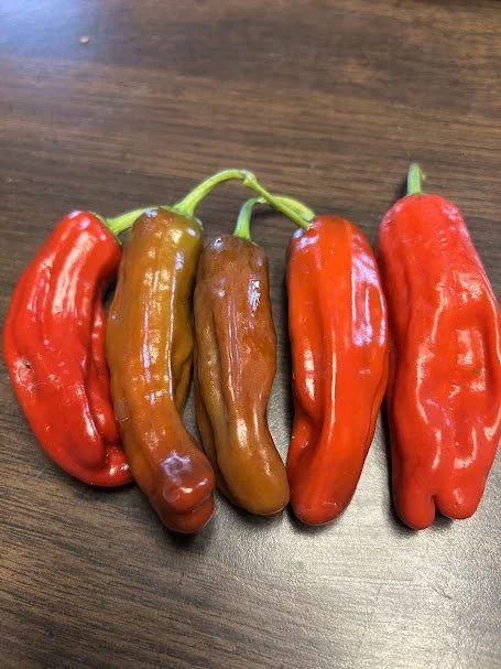 pepperocini.jpg