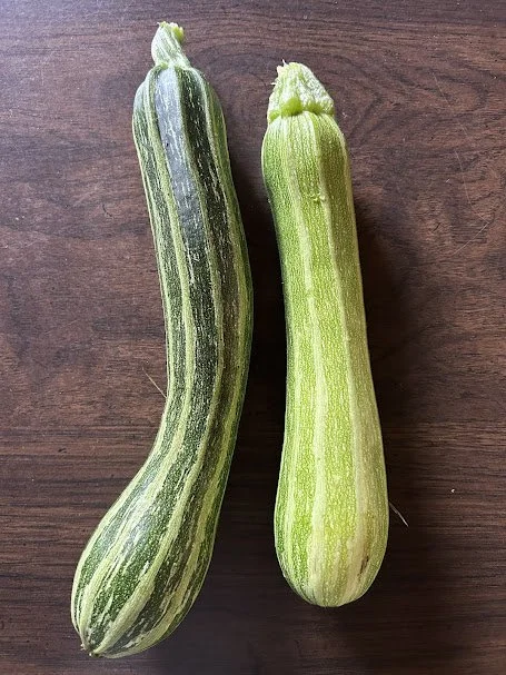 zucchini.jpg