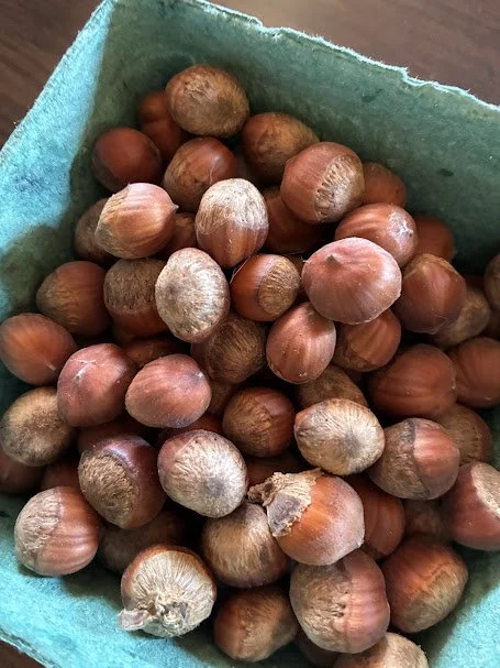 hazelnut.jpeg