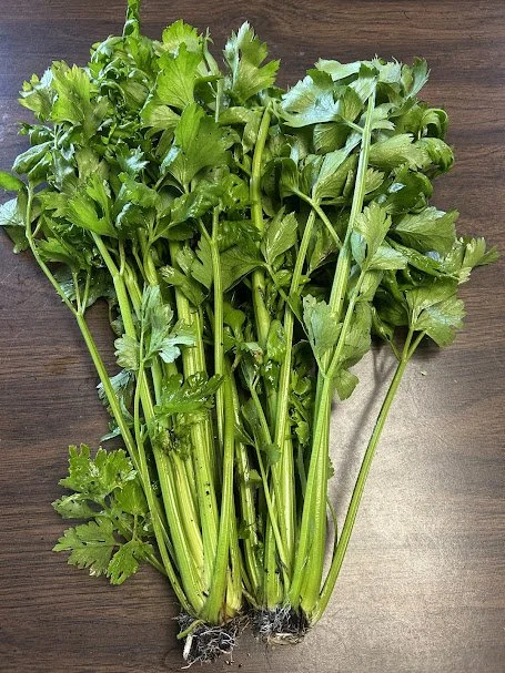 celery.jpg