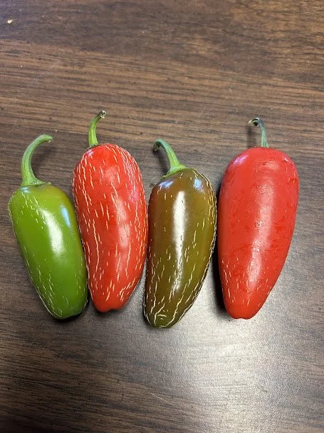 jalepeno.jpg