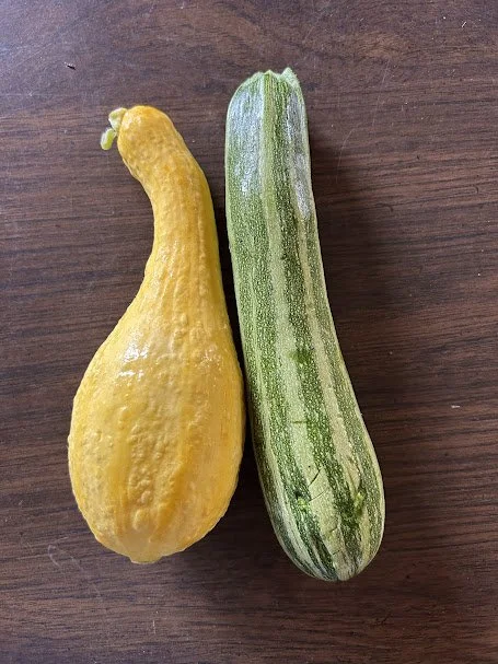 mixed squash.jpg