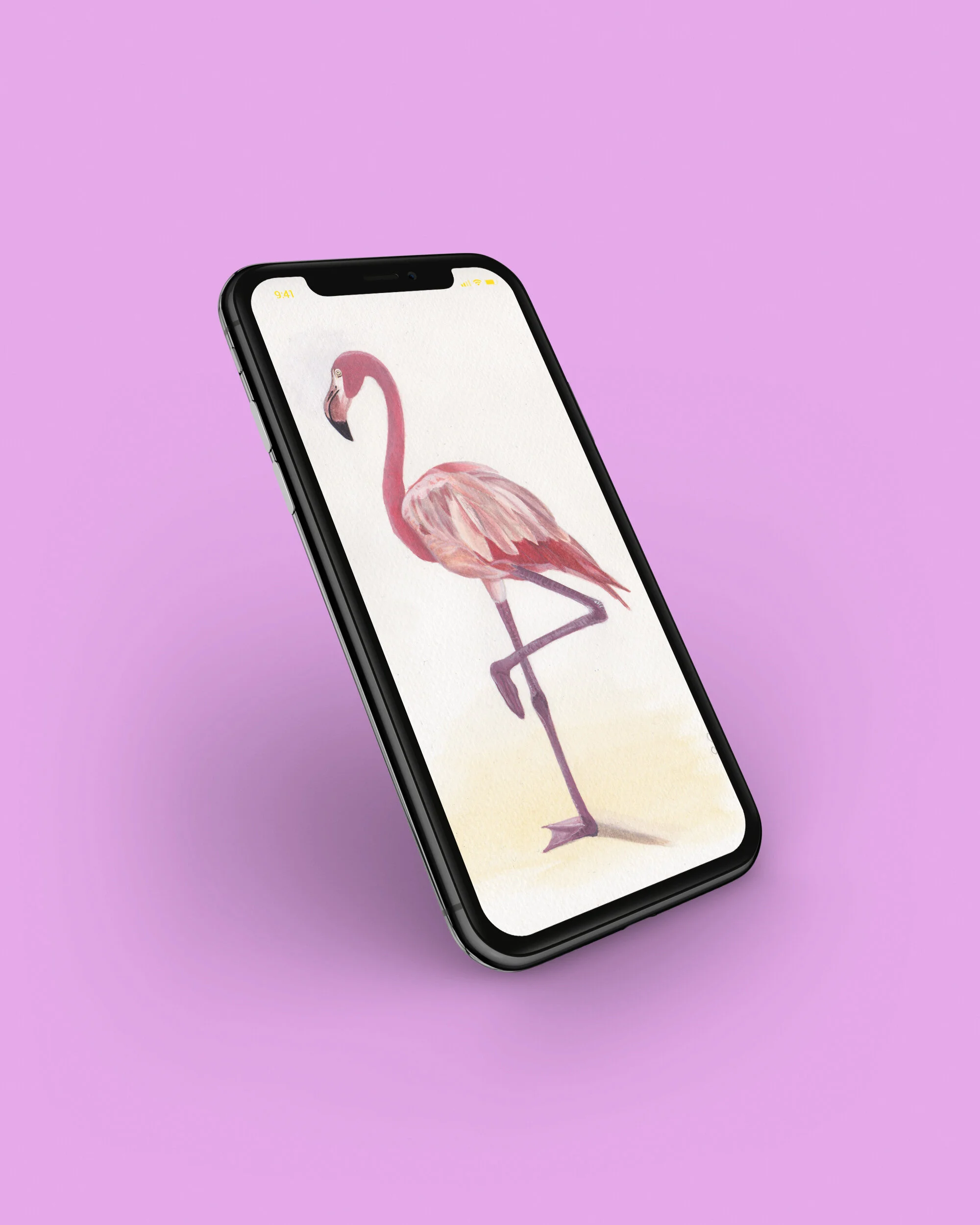 Flamingo Mock Up.jpg