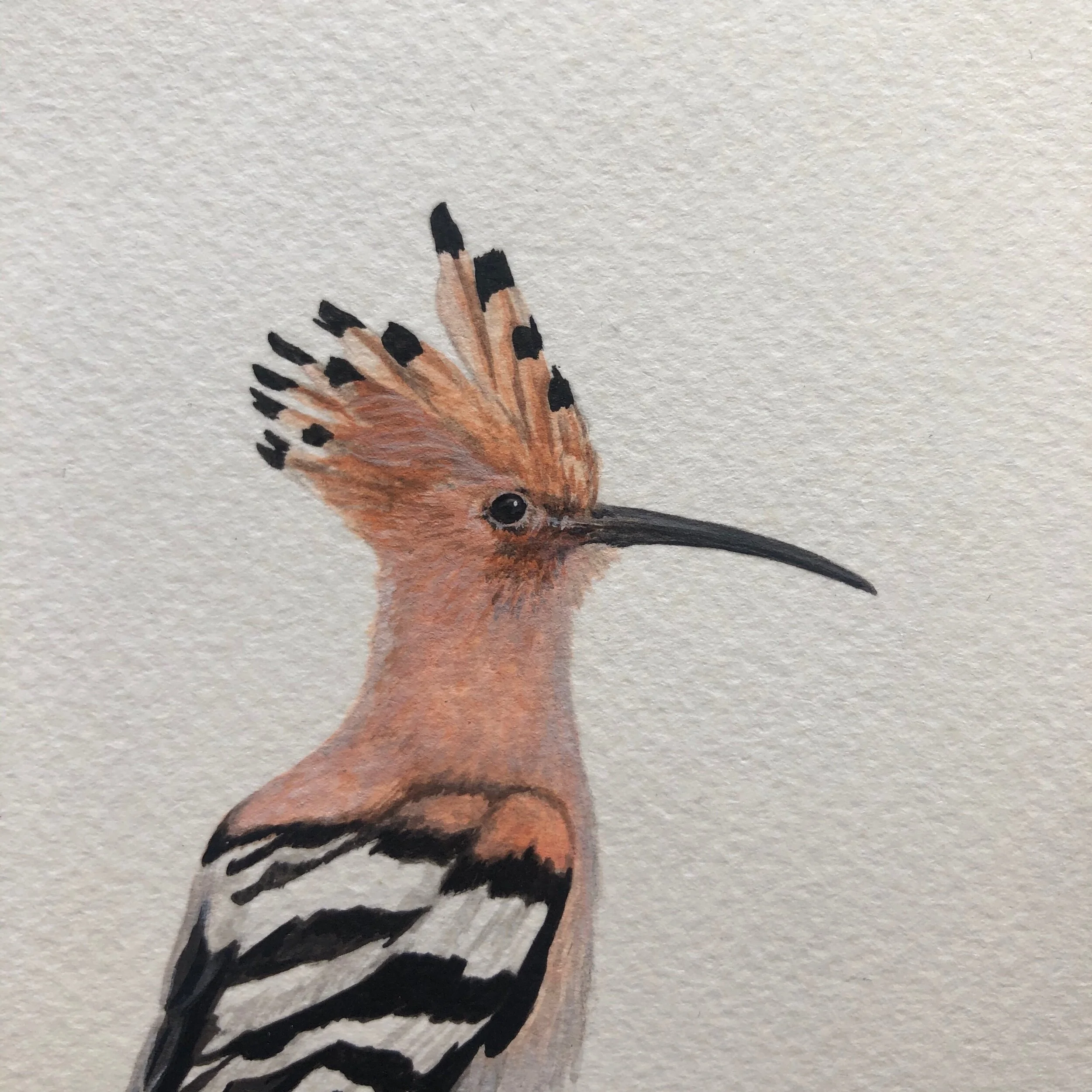 960B6850-78DB-458D-94DE-D7DAEB2D72C4