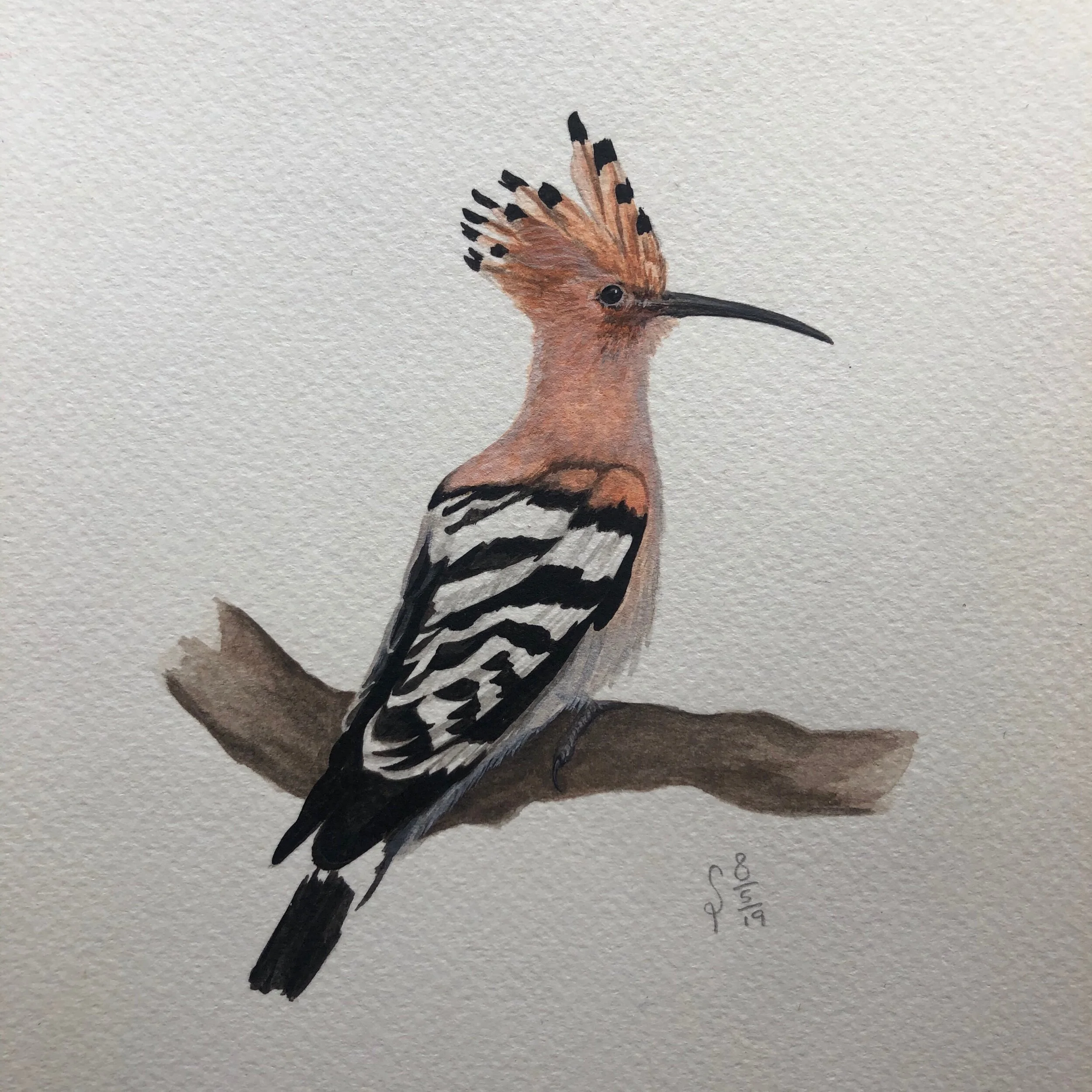 A47DA6C2-6515-40C8-93AE-89B0BF0D6F35