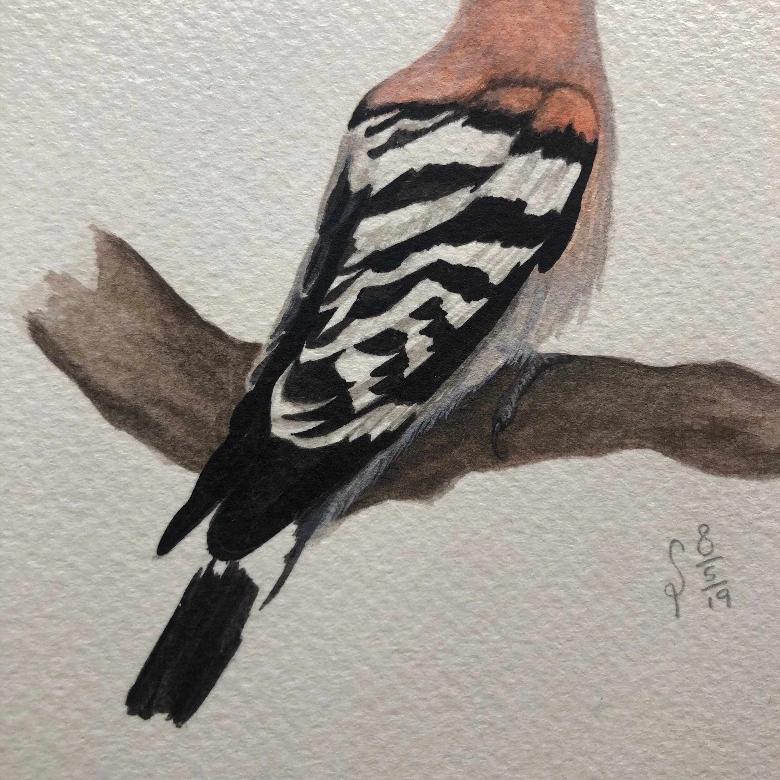 0E6310DC-7D1C-43EA-9F0F-9D23D04EB3B7