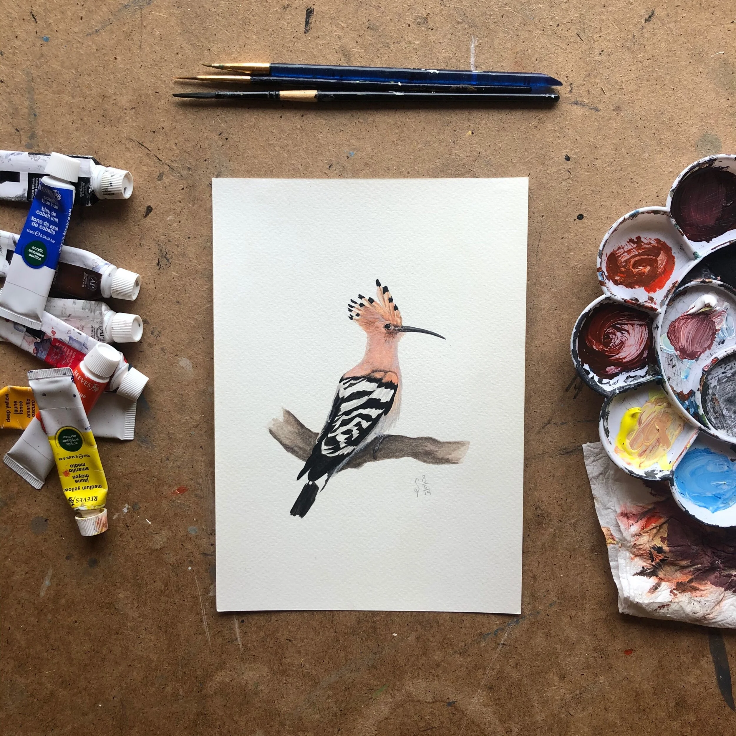 851CF043-8E2D-481E-ADDE-7BFBFC61F8ED