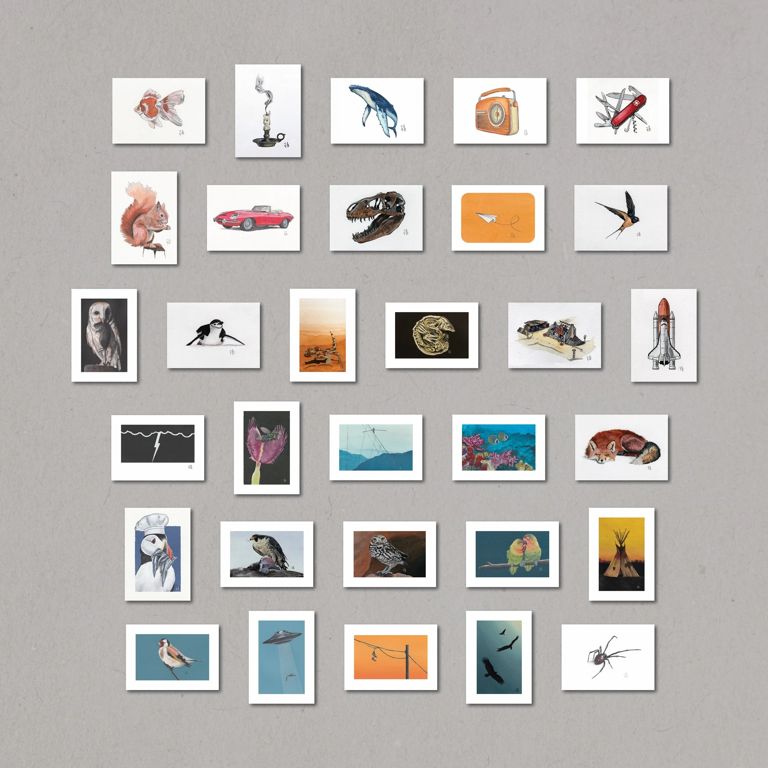 959C028E-69DE-4114-B64C-DF434ED22A40