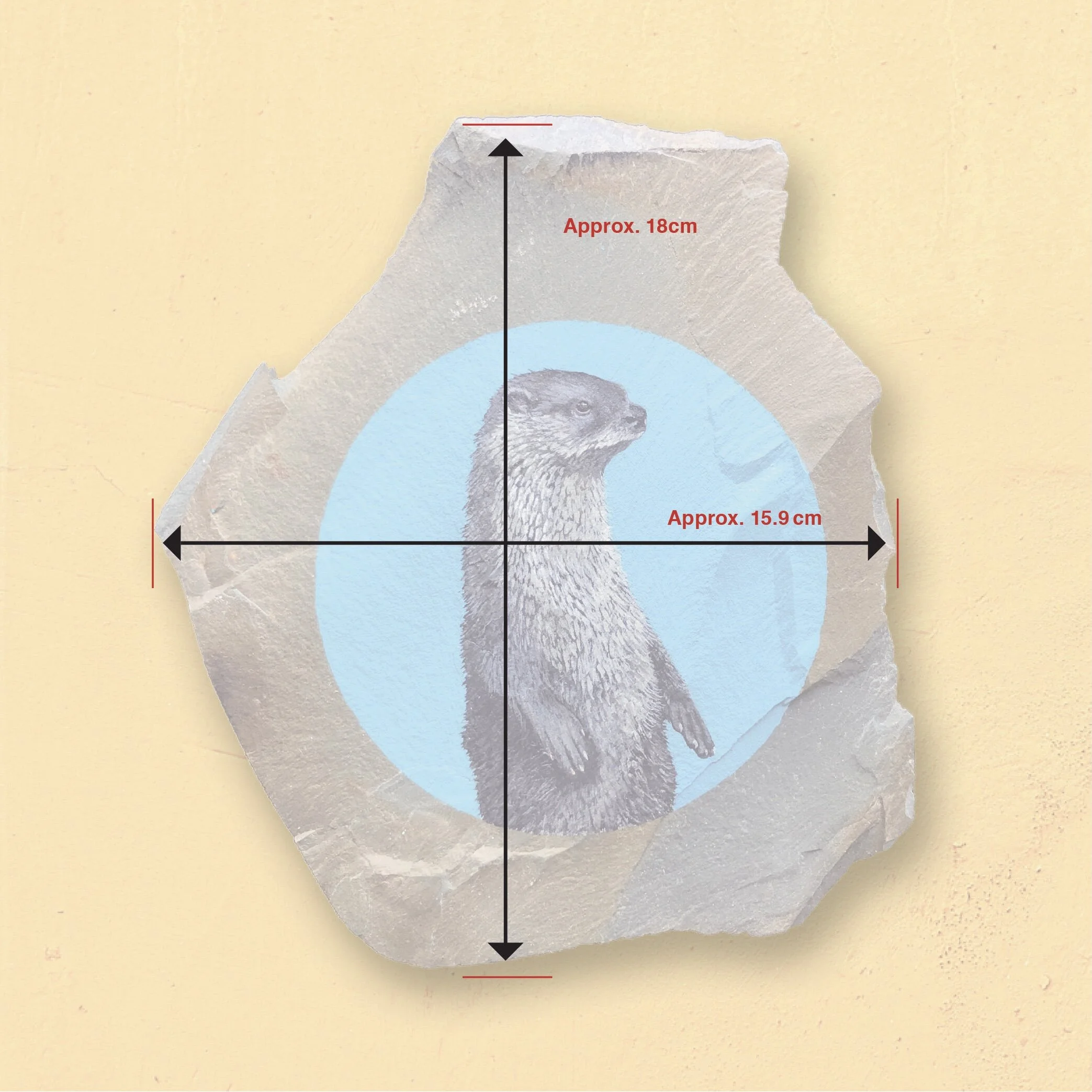 B3BCD784-1B61-4ED6-A8D5-F9FD0F032F29