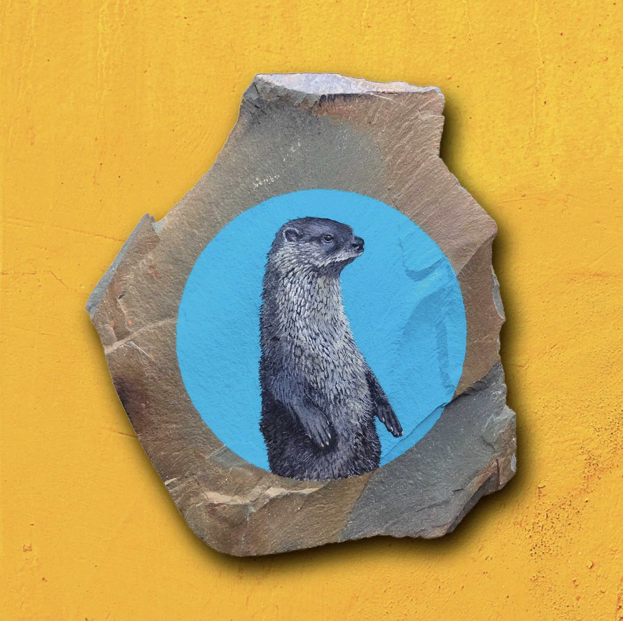 94DC02D4-1D93-46CF-A889-A7BA58194B70