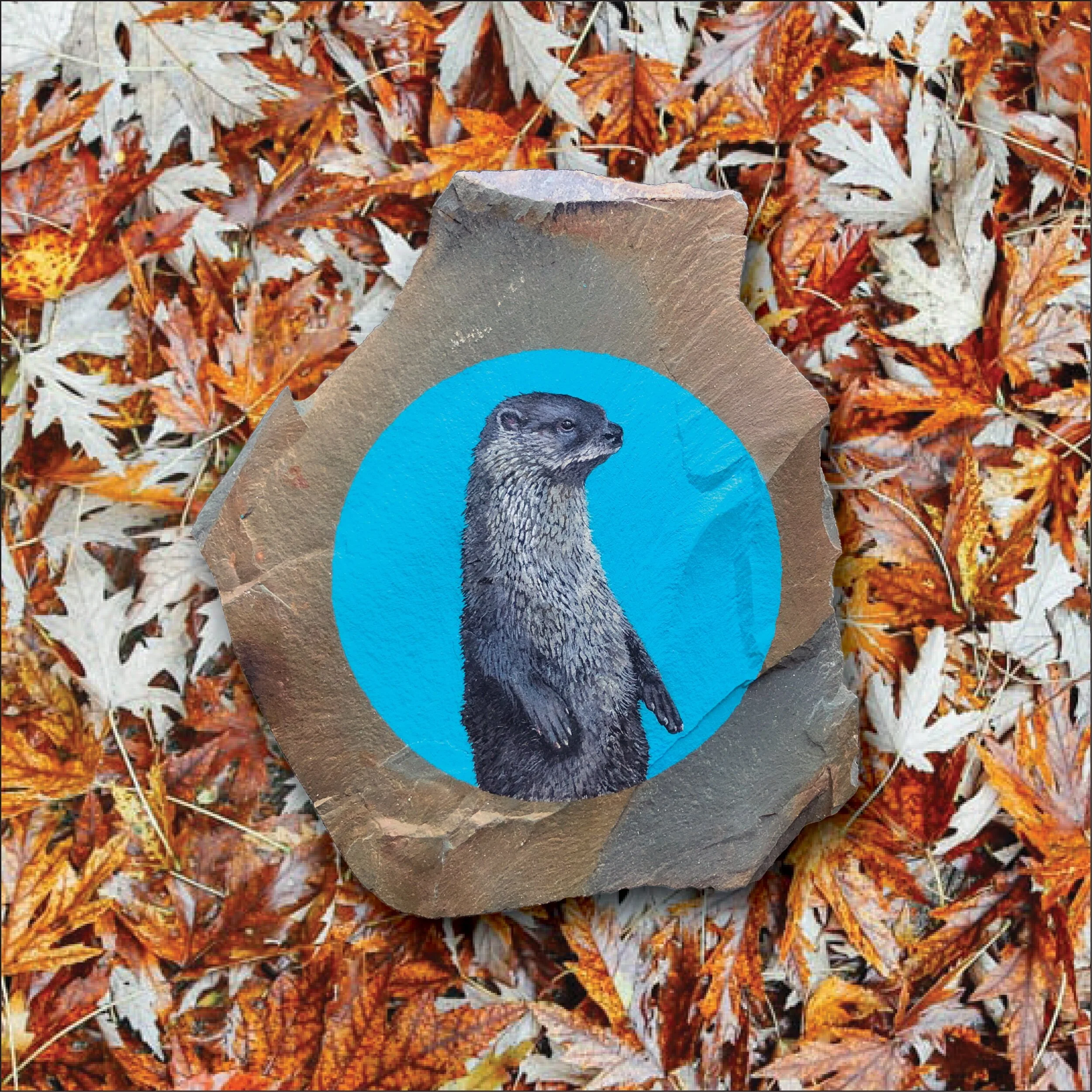 0F8BB88E-F221-4934-963A-E6A4800F84AF