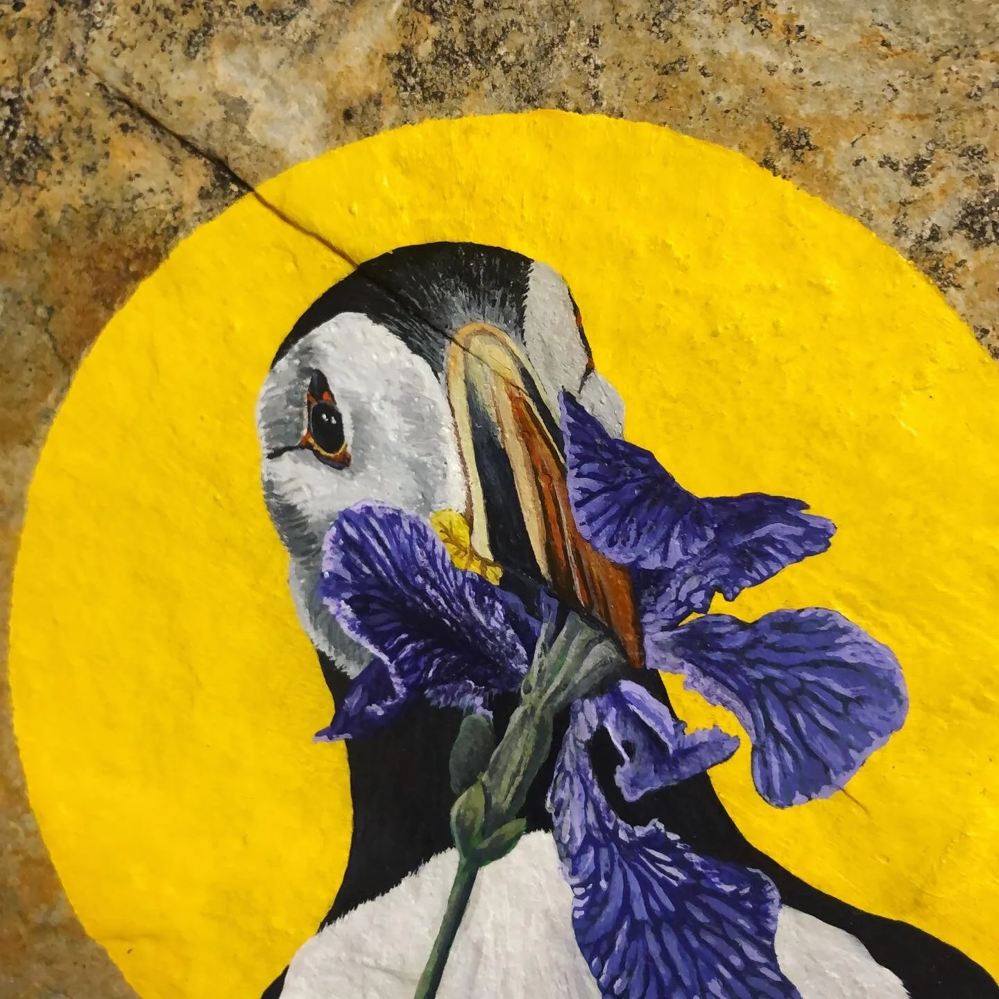 12688E03-49F6-4B7F-A082-BA29FC959052