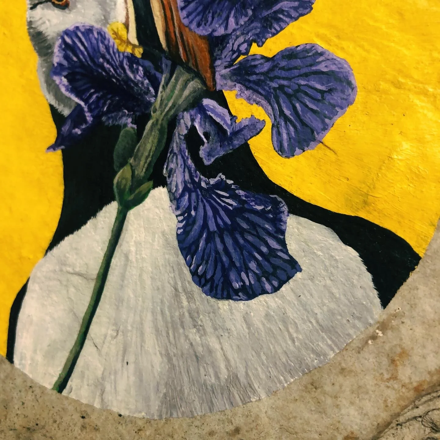 ED63A233-A4E2-4DE4-8D8D-F3A9FD890533