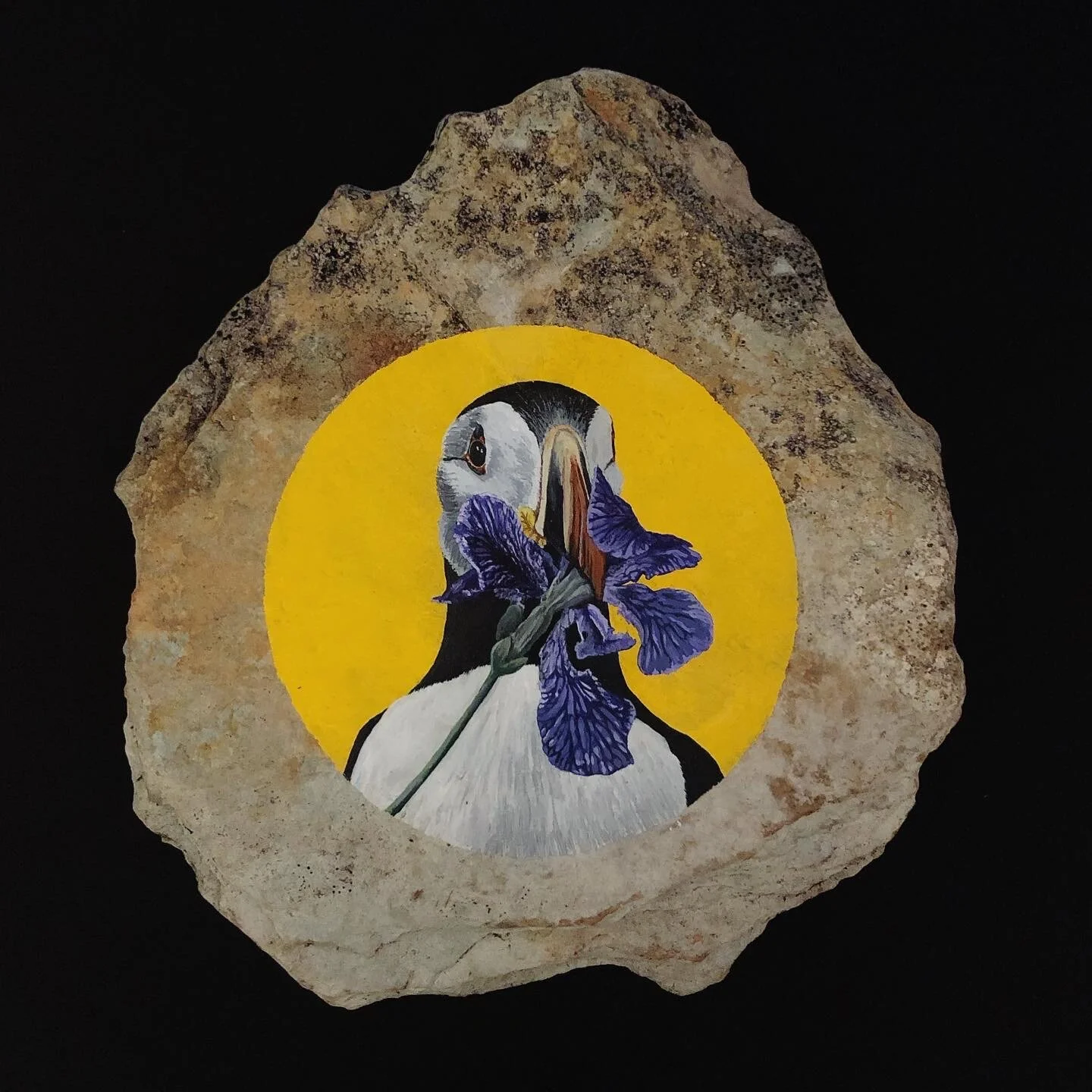 1CFAA6BC-CA70-499D-9A70-EC9EDE8FC1D5