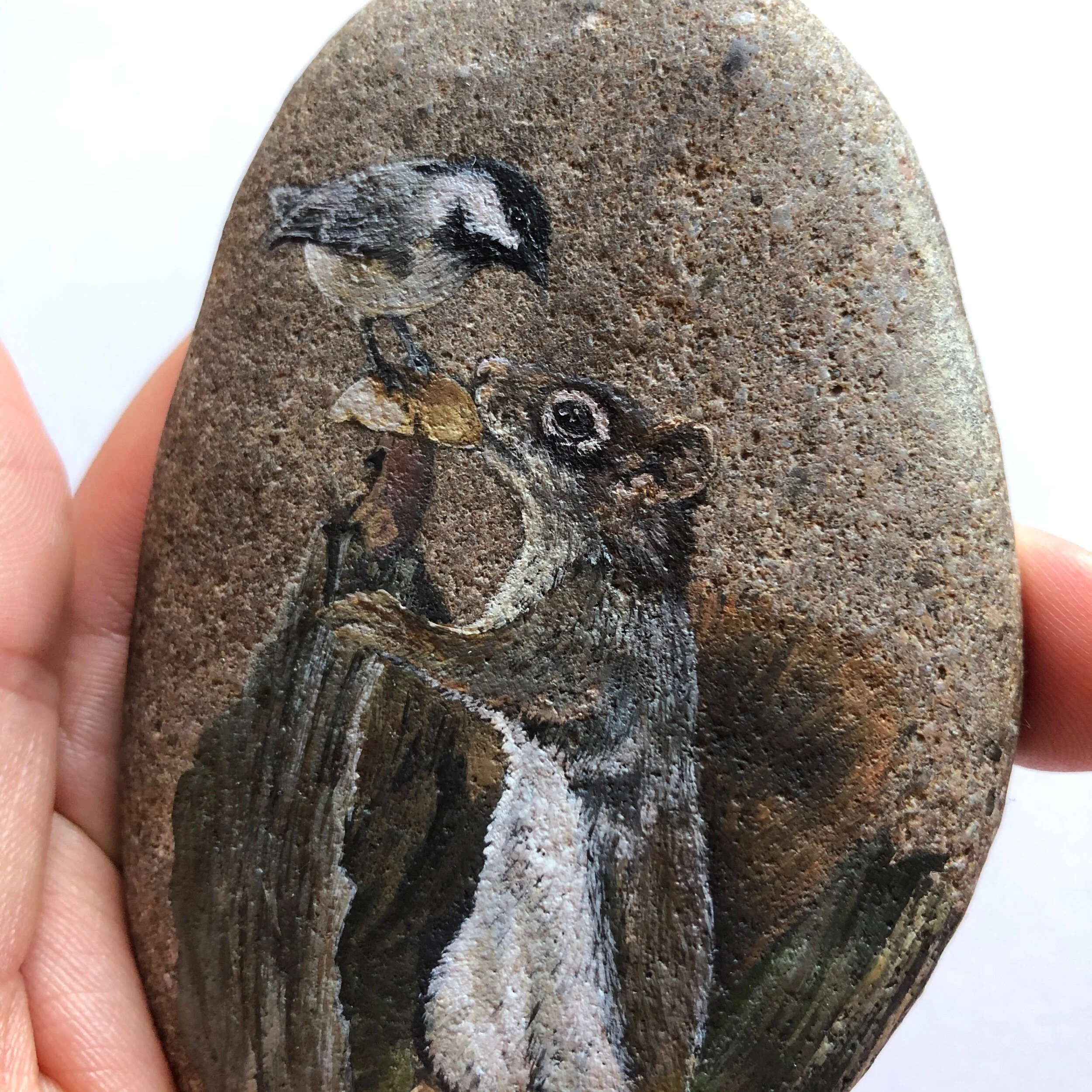 9E9199D2-8106-4A22-A6B4-ADA5E53125C9