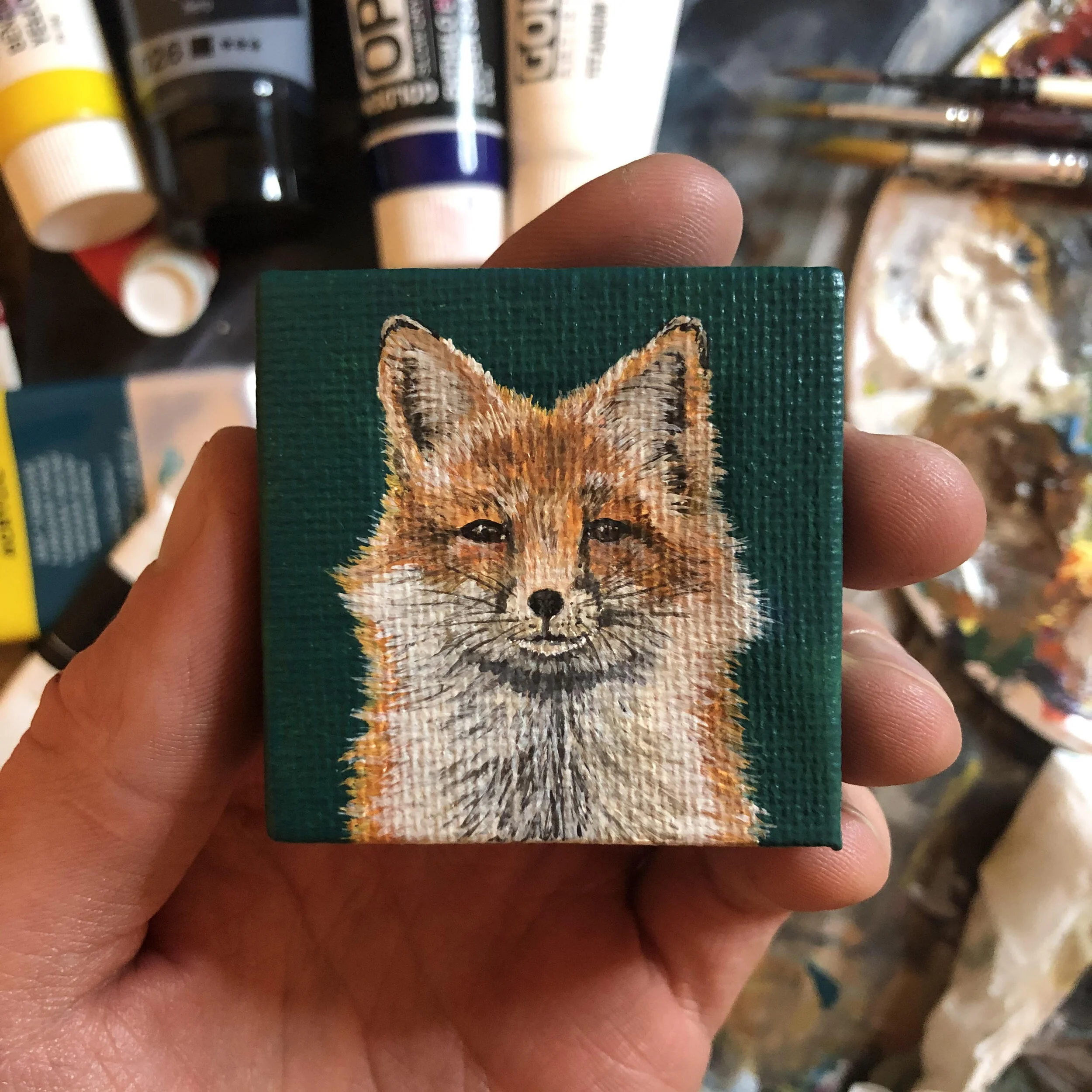 redfox.jpg
