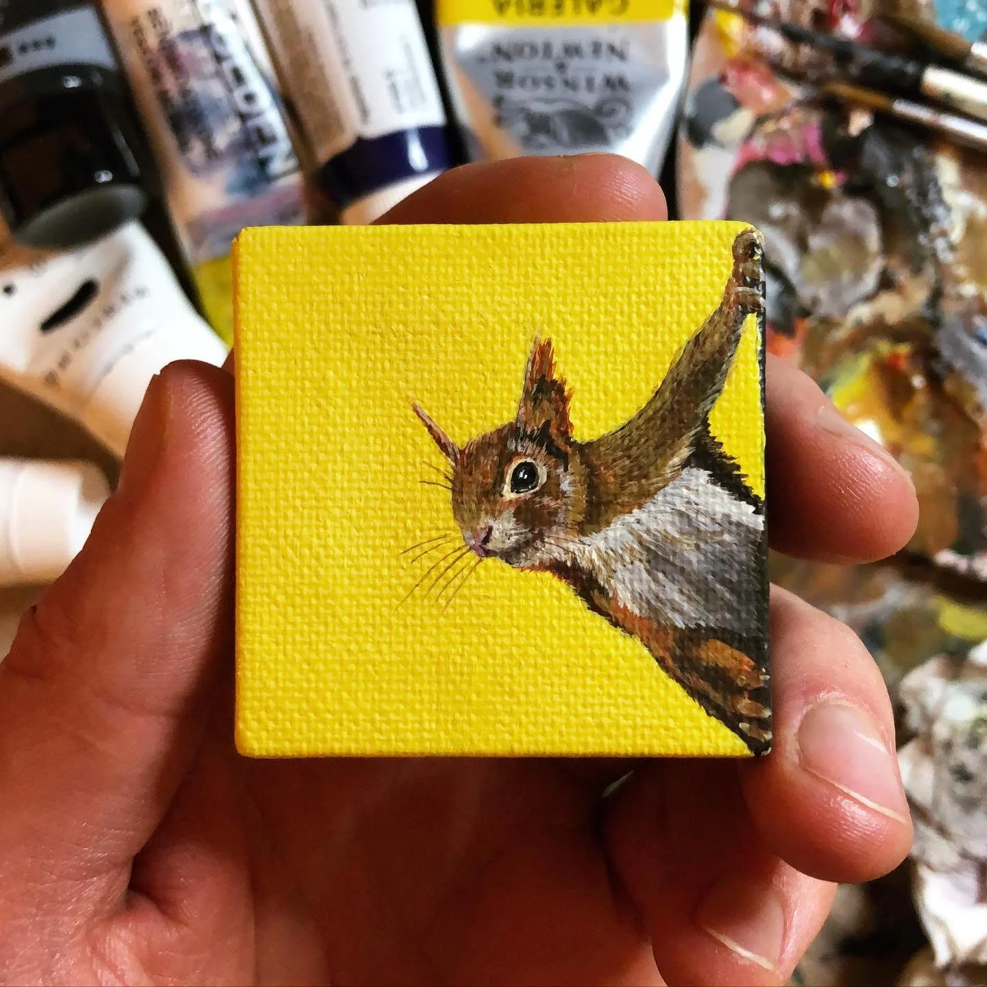 redsquirrel.jpg