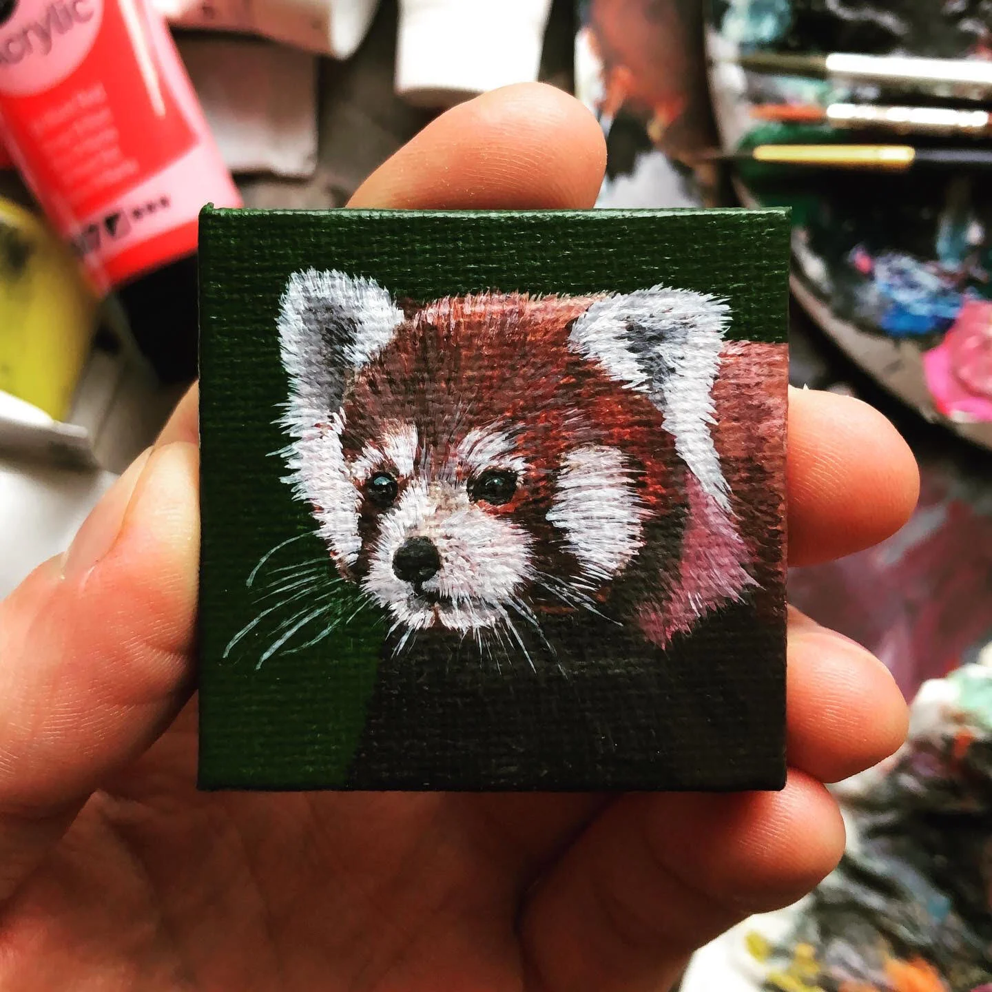 redpanda.jpg