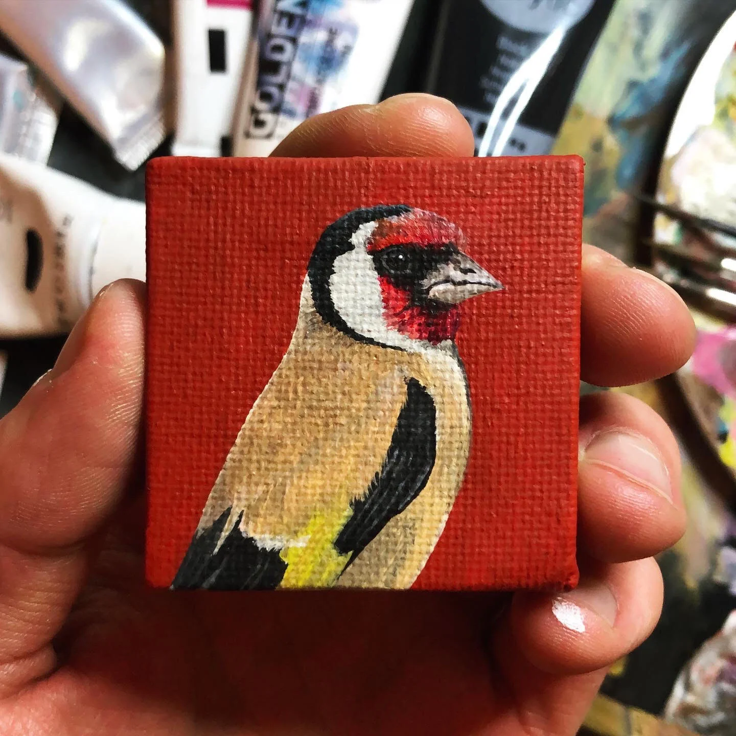 goldfinch.jpg