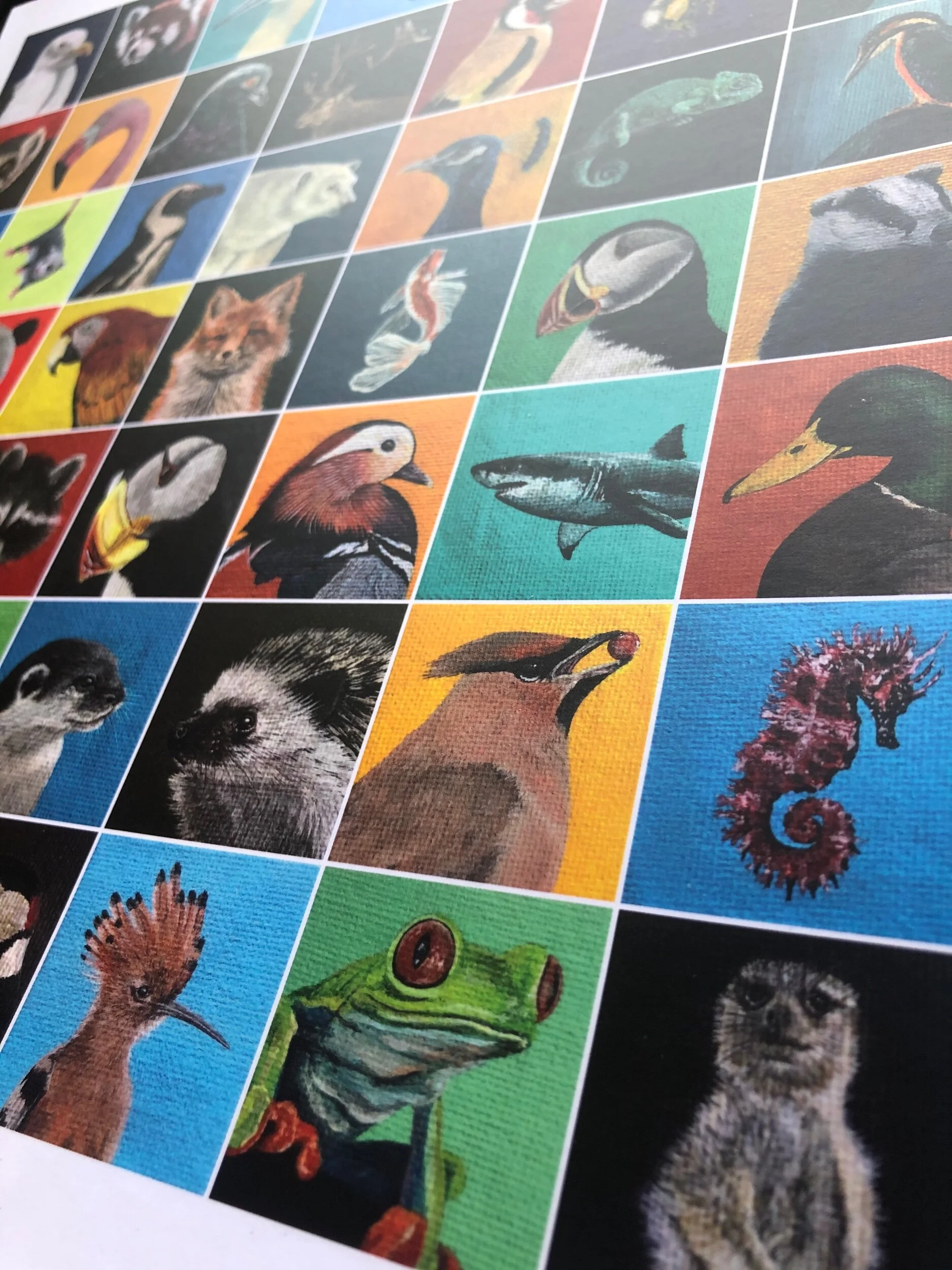 641EE8A2-BFC0-413D-B4C7-C80B3494EAA6