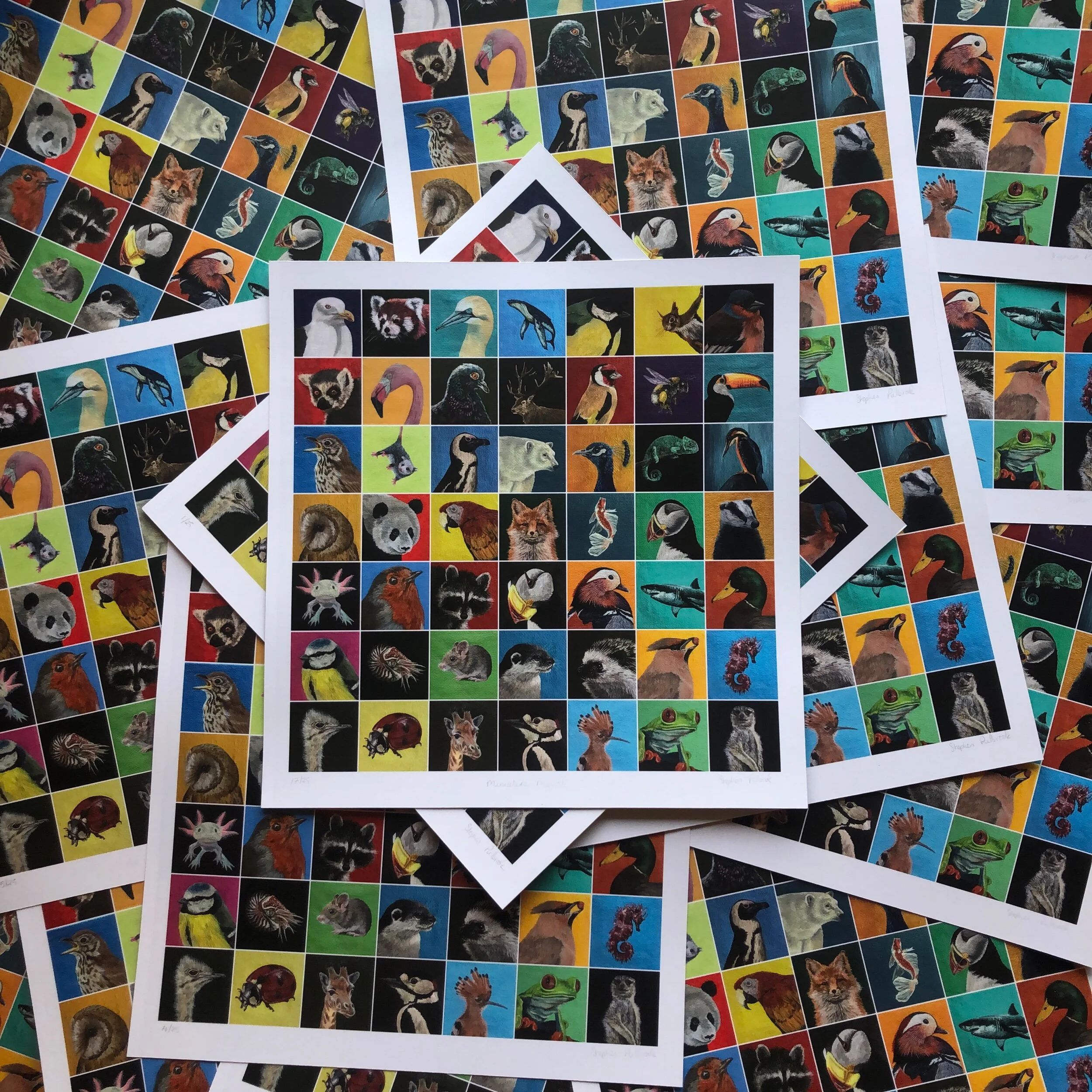 125F4623-5D88-416B-9D70-DD834490324A