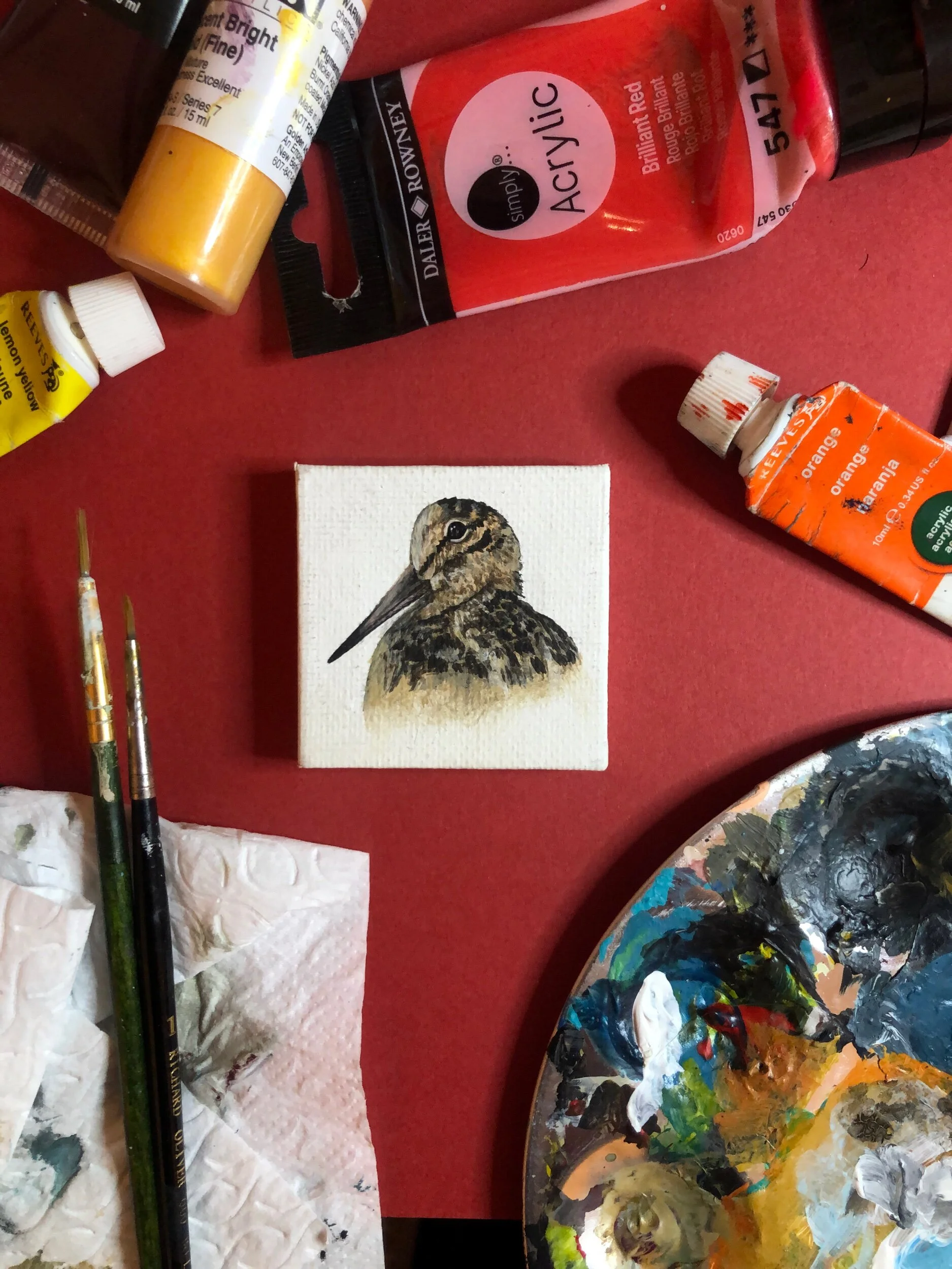 B1AE9909-FB18-4547-8D56-B1C1FC2B54BB