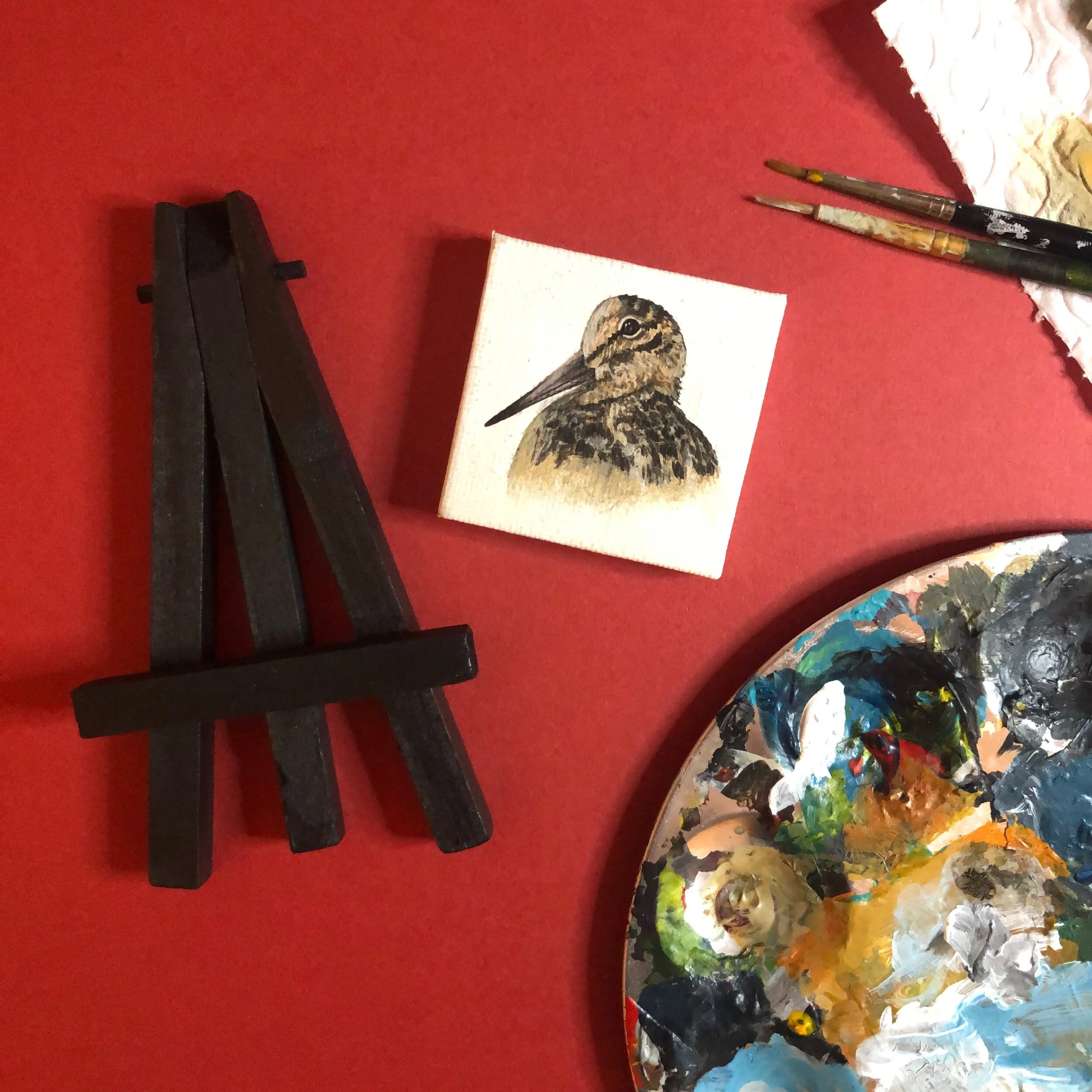 C51AA802-4D90-454E-B807-70596DBE8F22