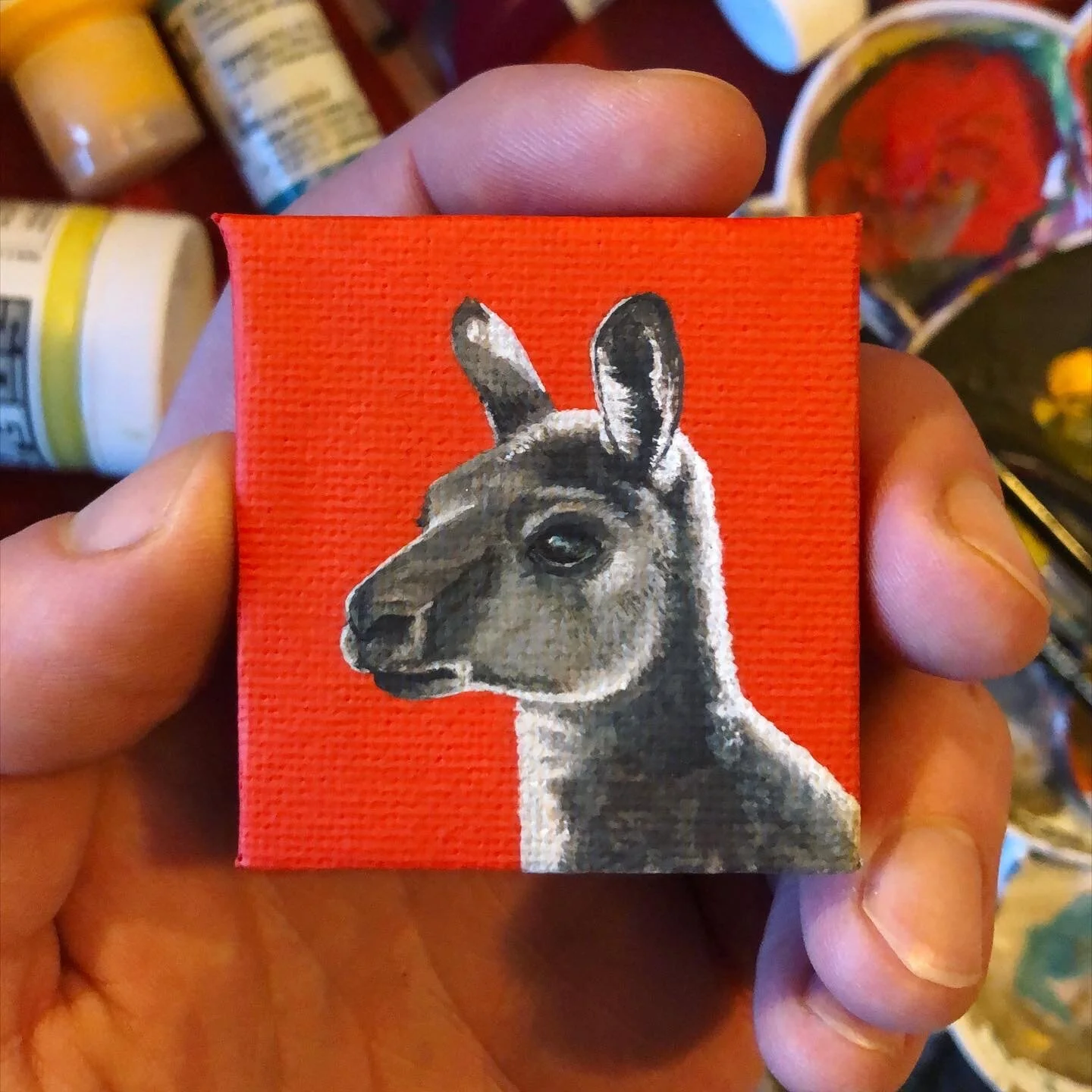 5DCB9BB3-D708-44A4-BE06-EA48314400D5