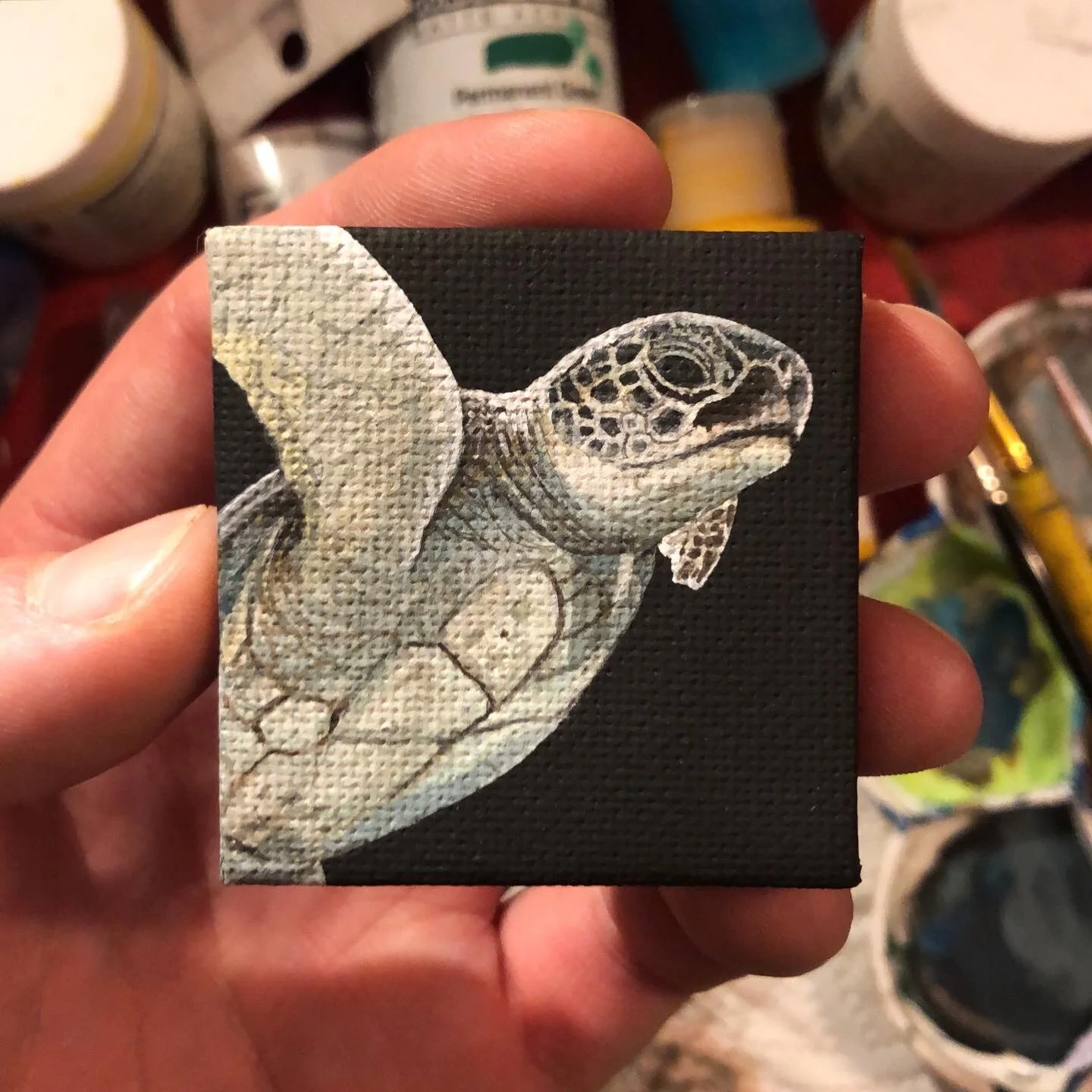 B2E488D7-9F35-4564-8A86-DB87377ED116