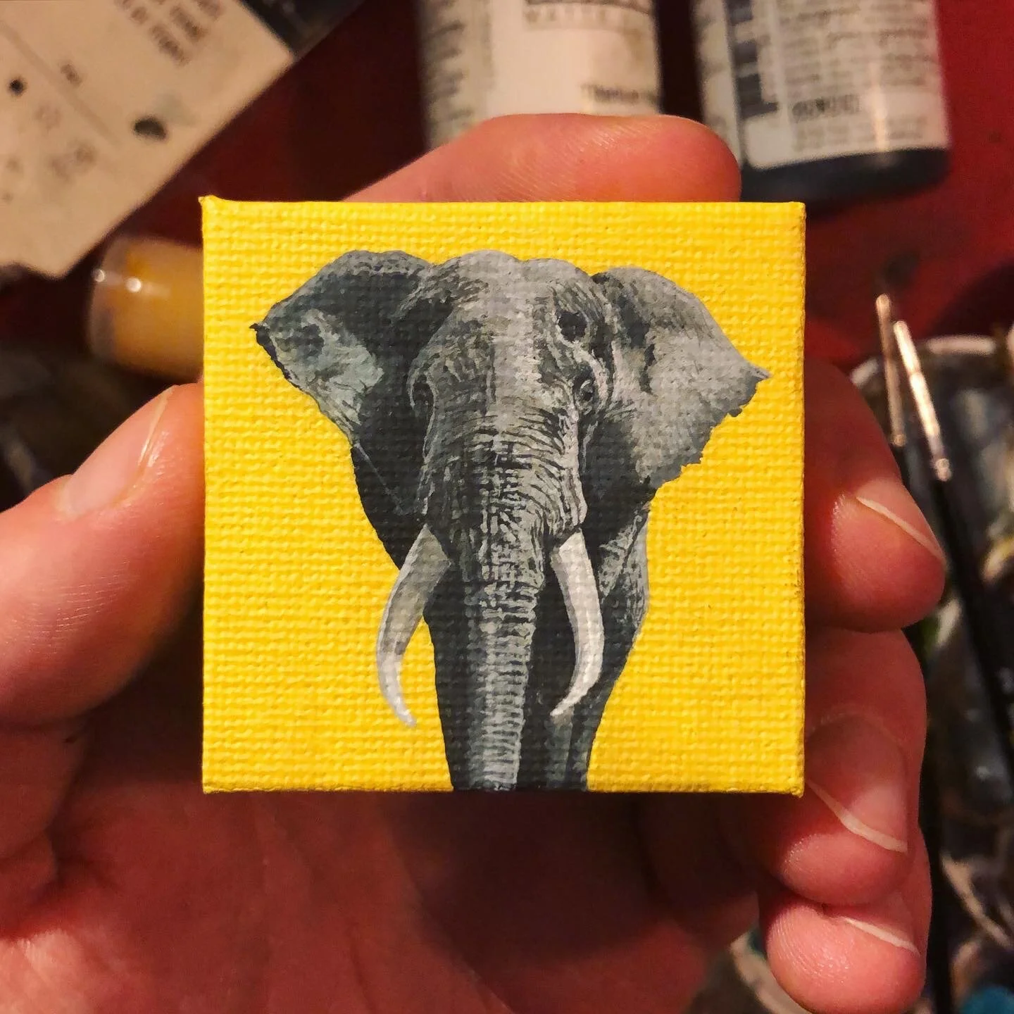 86A5F11F-C62E-4B4A-B2CB-3569519568C0