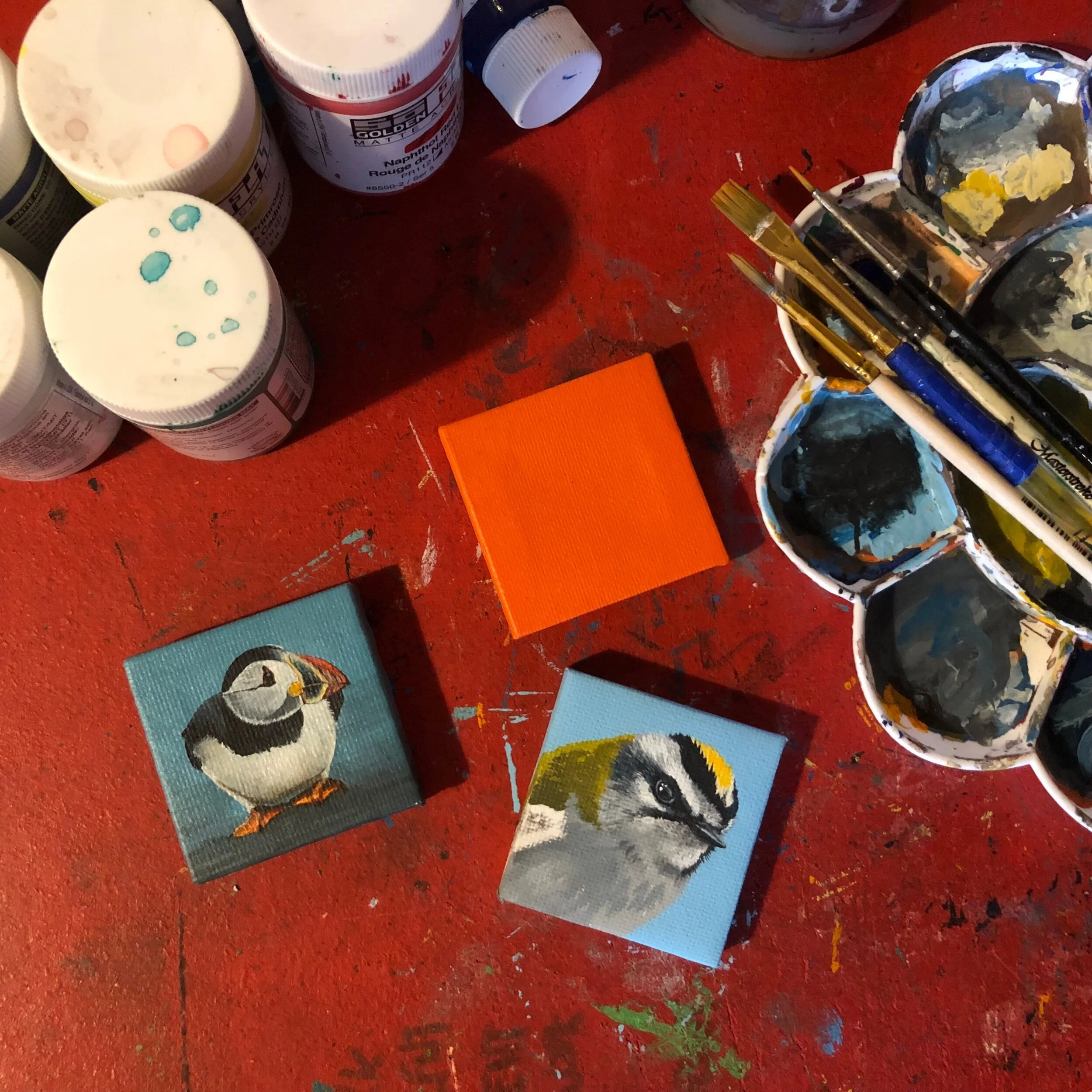 E90D72C0-C941-4436-AE00-087F6660C208