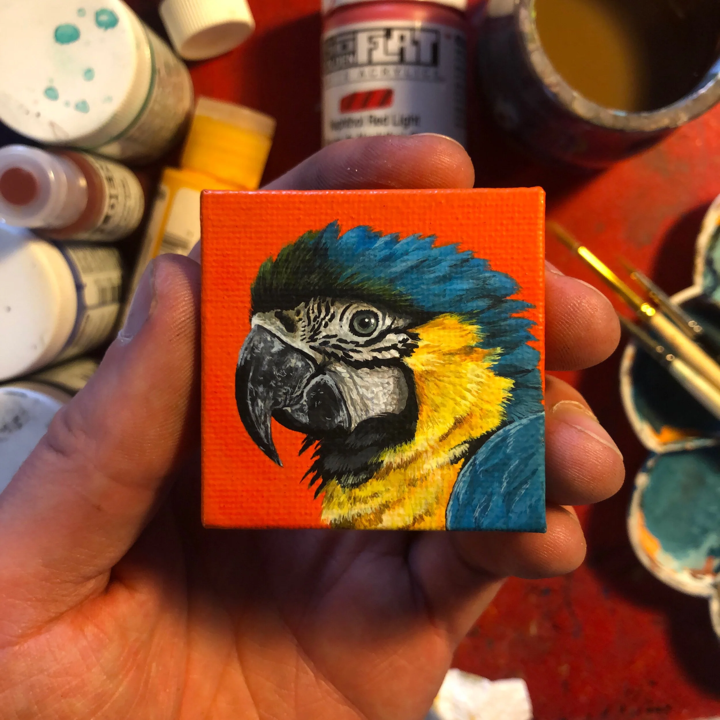 7539A413-D301-47E9-BE84-88C3DF4B60AC