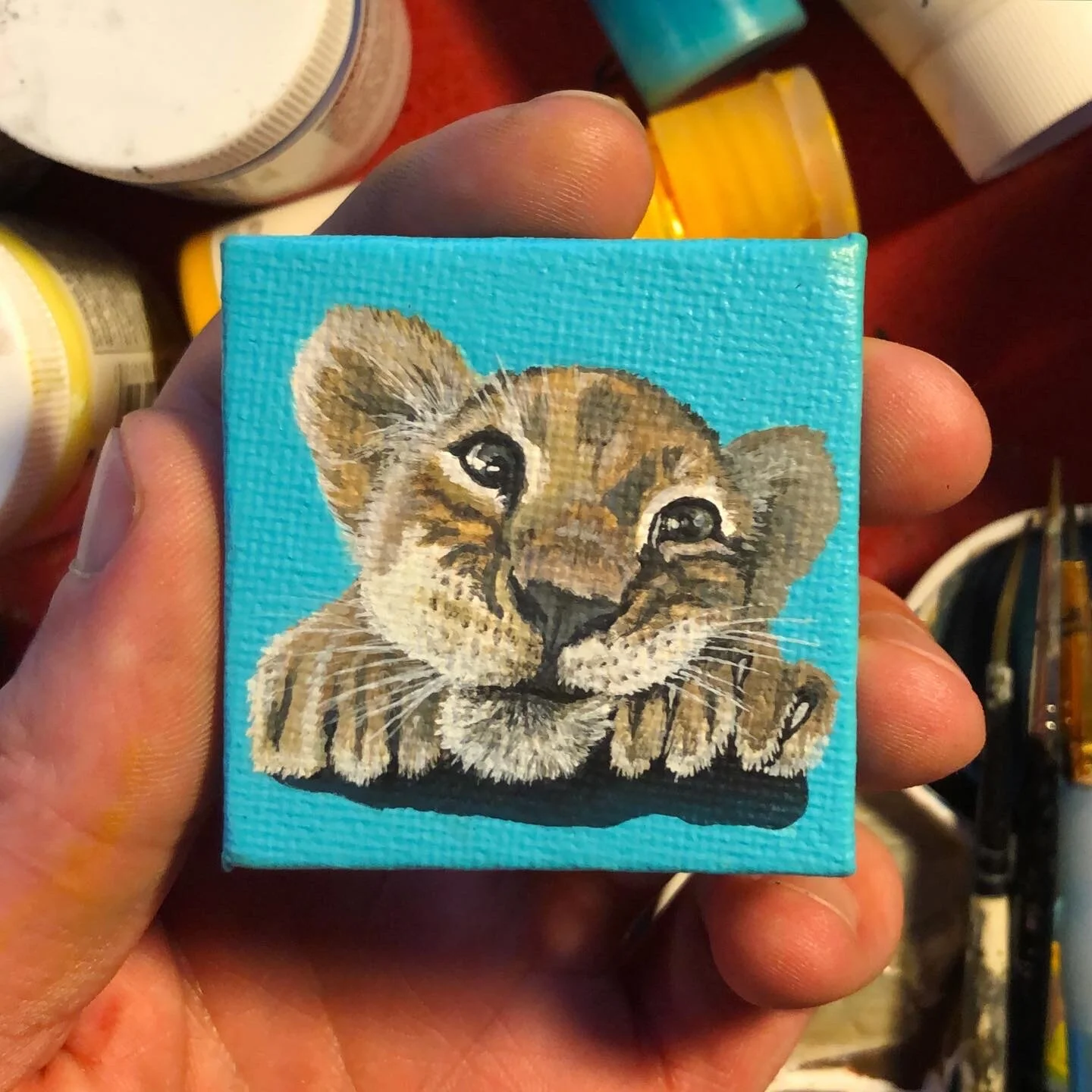 FF491426-1DA1-43F4-A660-60ECCFEA1CE5