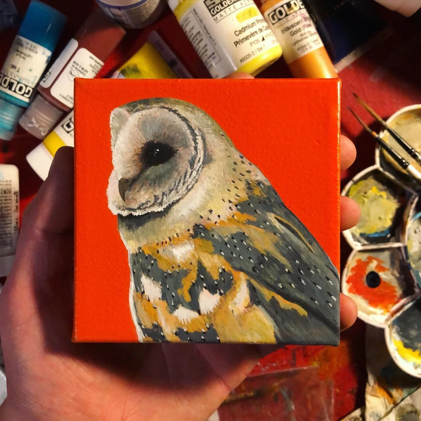 B90DEA5A-AA2C-426E-99E0-1D19CA9434F2