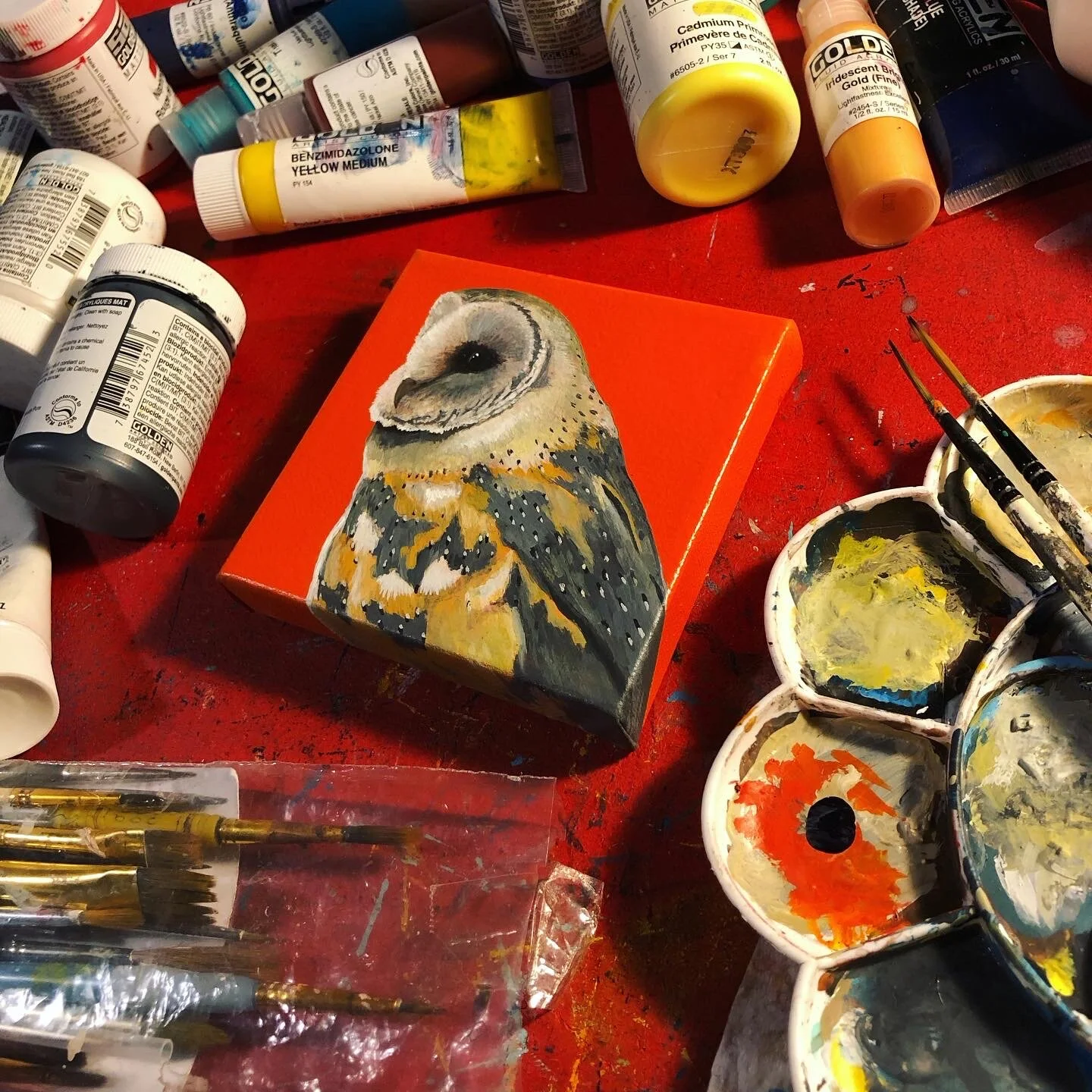 38872F6D-6121-475F-A16A-35F199445FF6