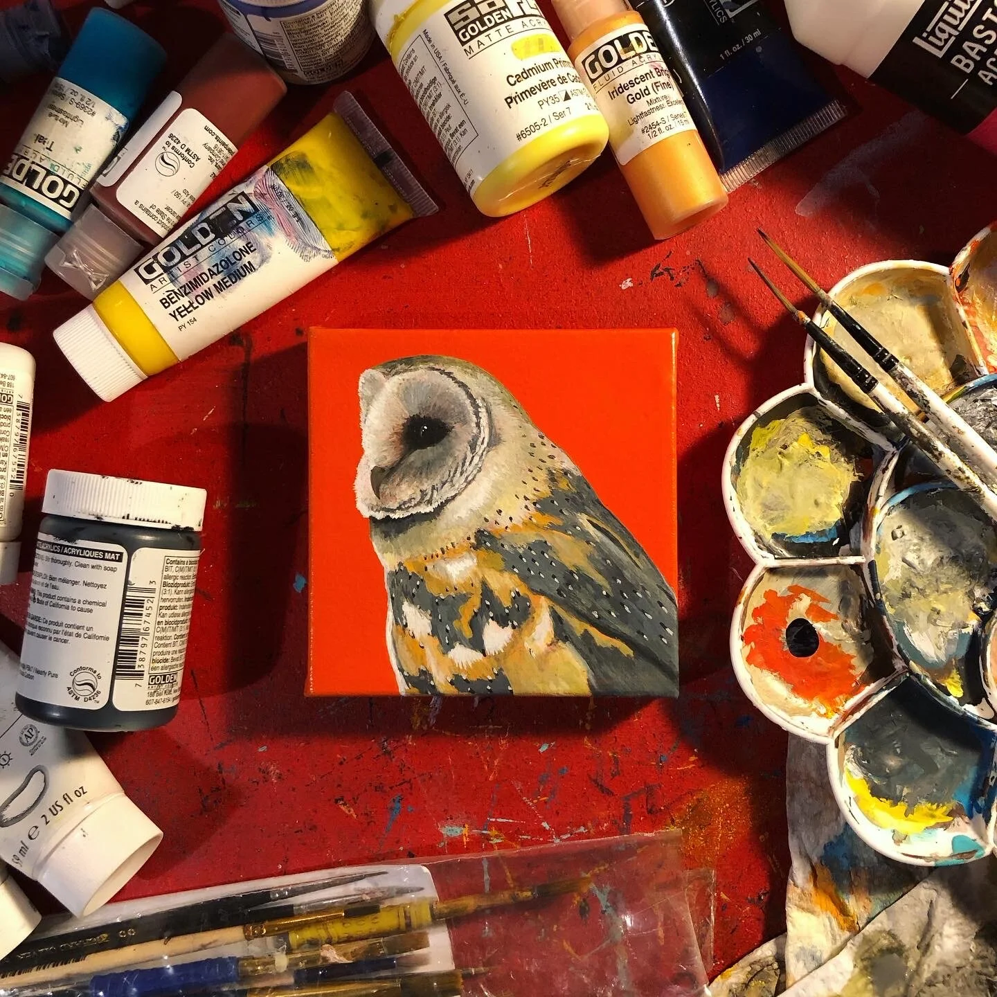 433A48D0-C549-4299-A09E-9695934754F3