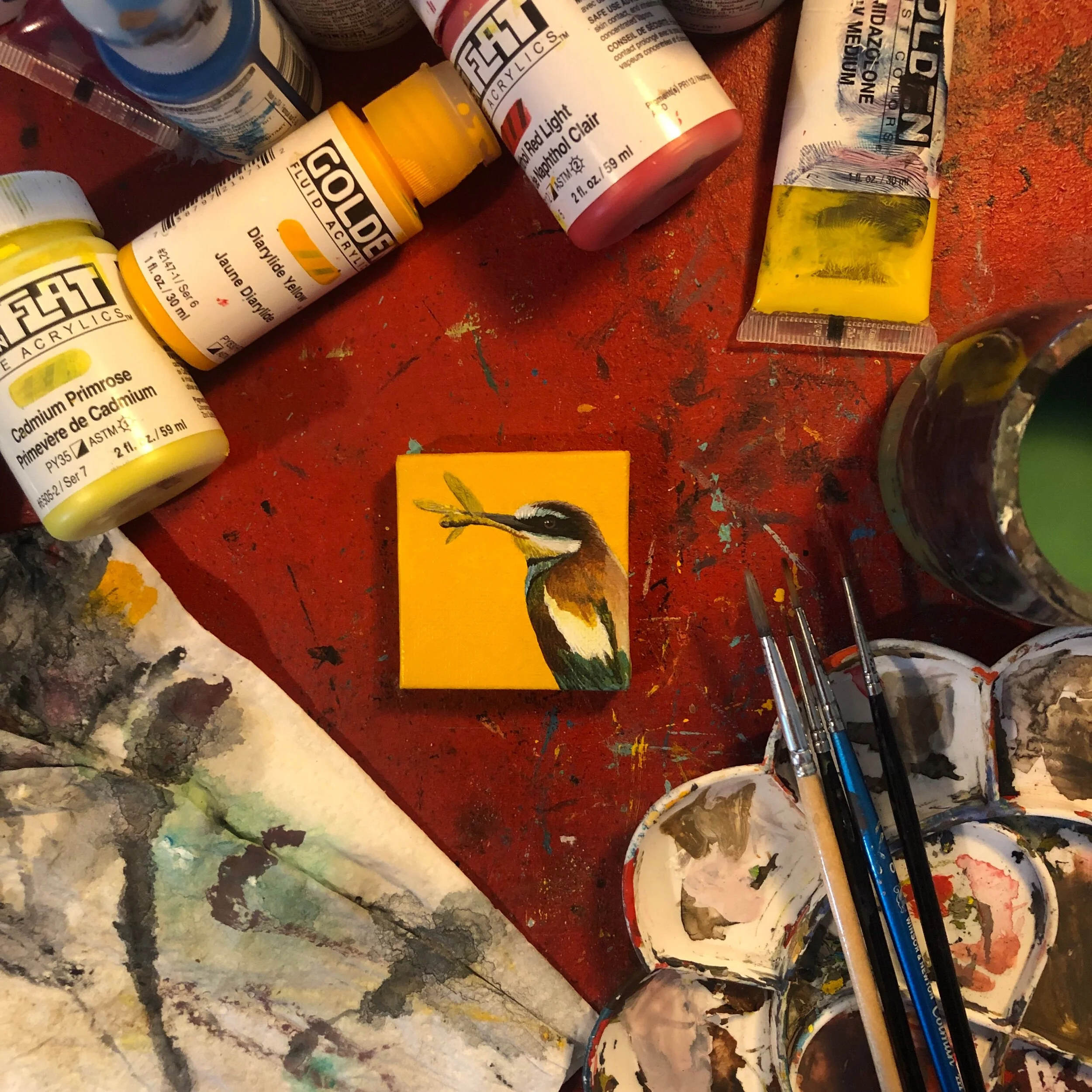 AB25FEBE-E2AC-4B2E-9CE2-ED5355A0F41A