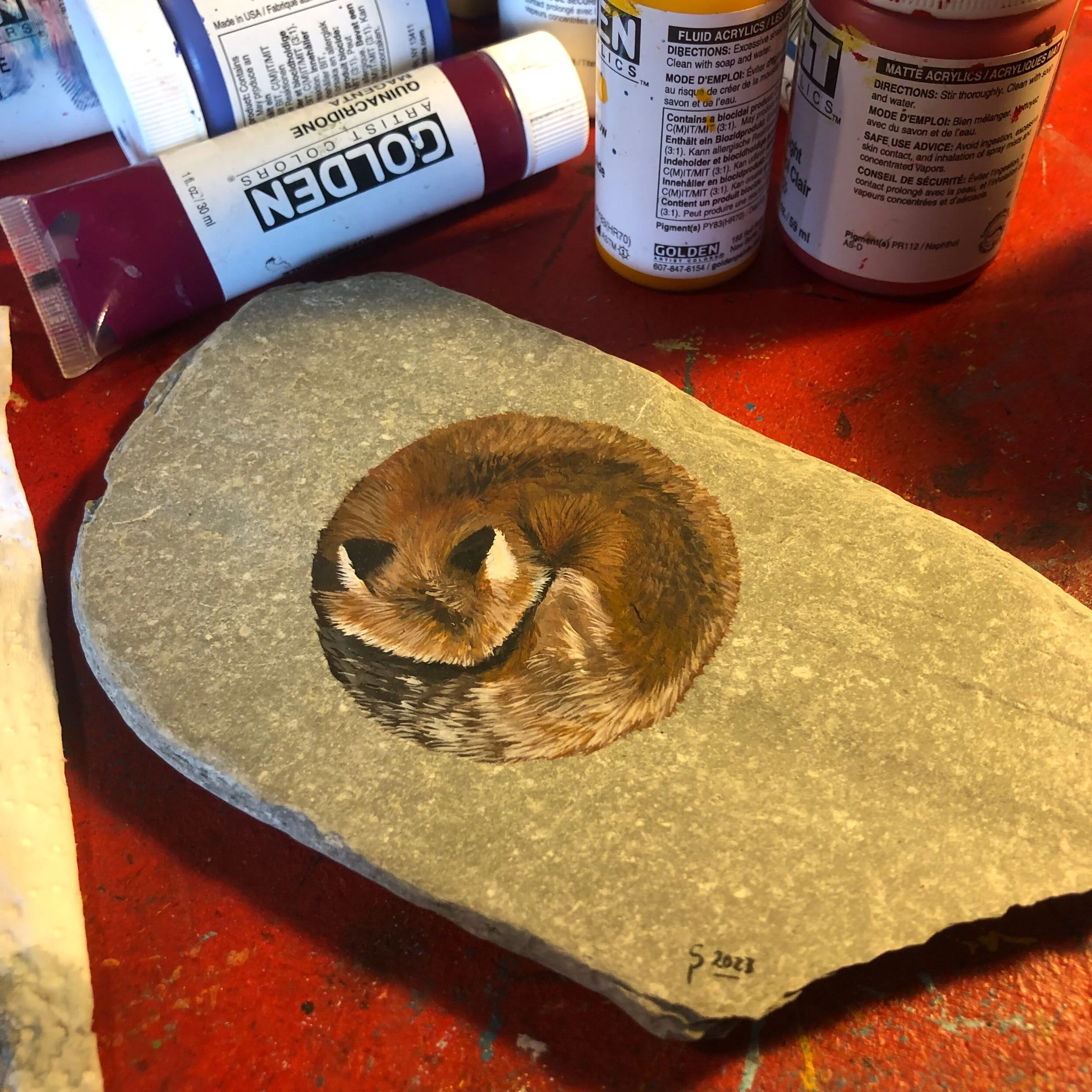 AB932E68-1432-4B64-A3C7-2895317F00AD