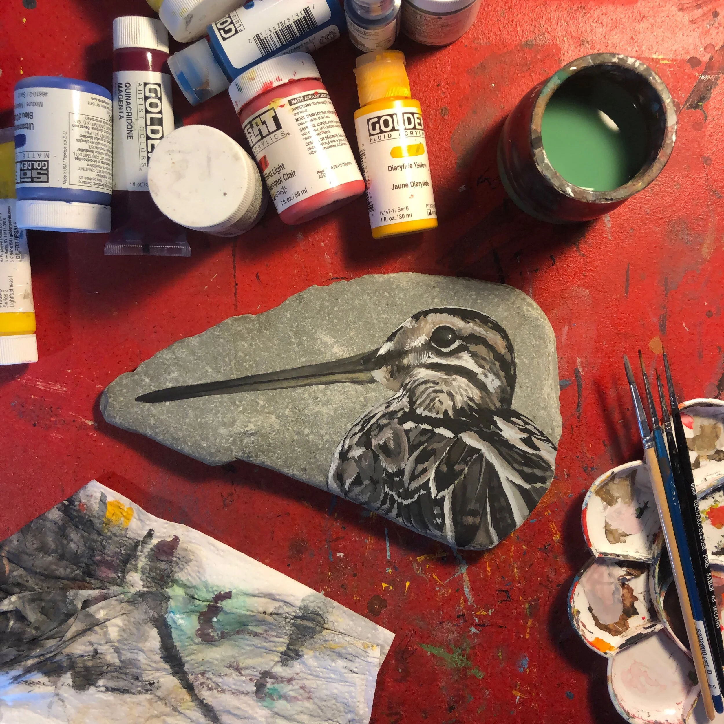 66E85823-274F-47BC-946C-C9D47675182A